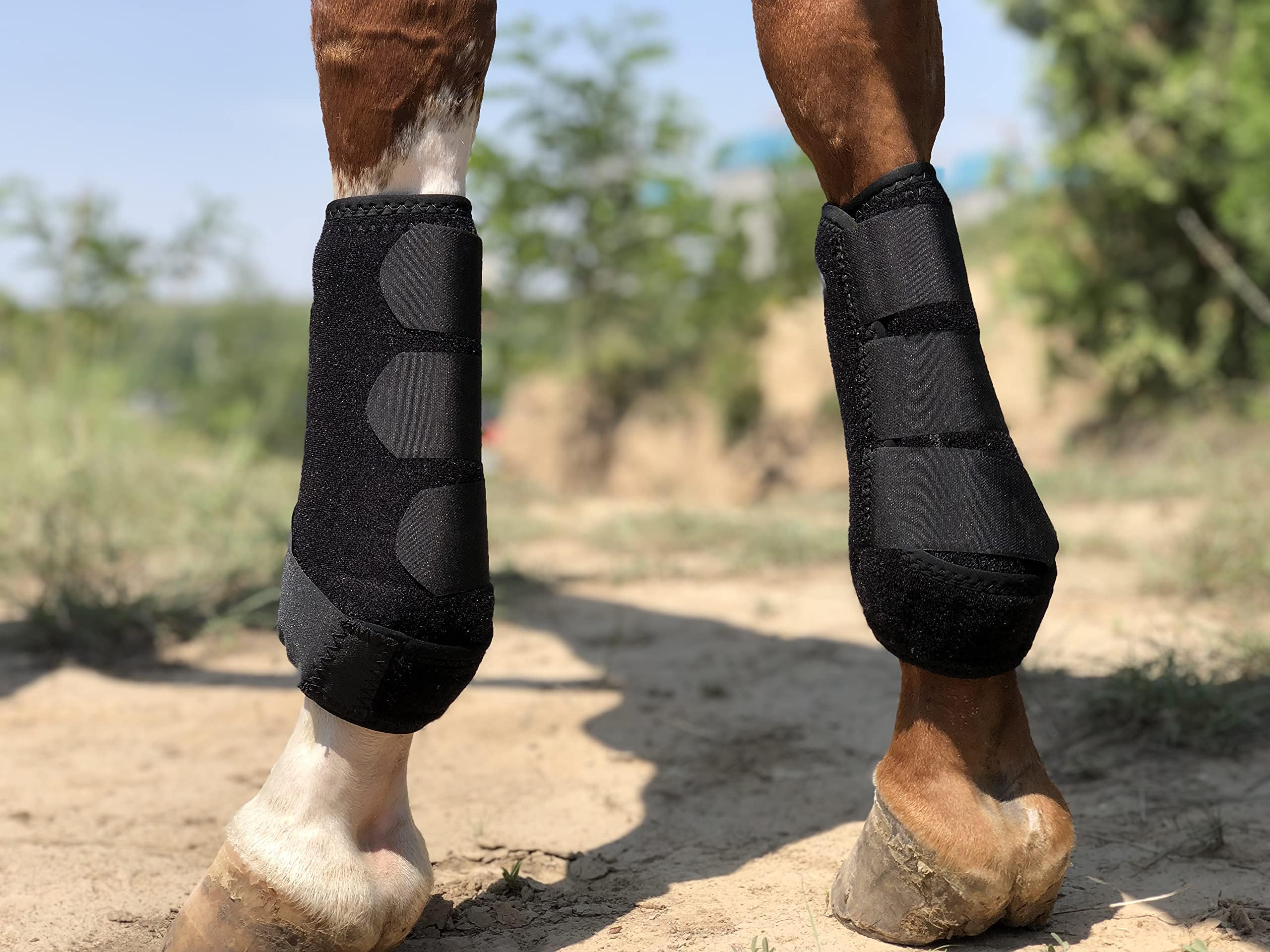 Tgw Riding Equine Sports Medicine Ventech Elite Front Leg Boot, Pair (Black, S)