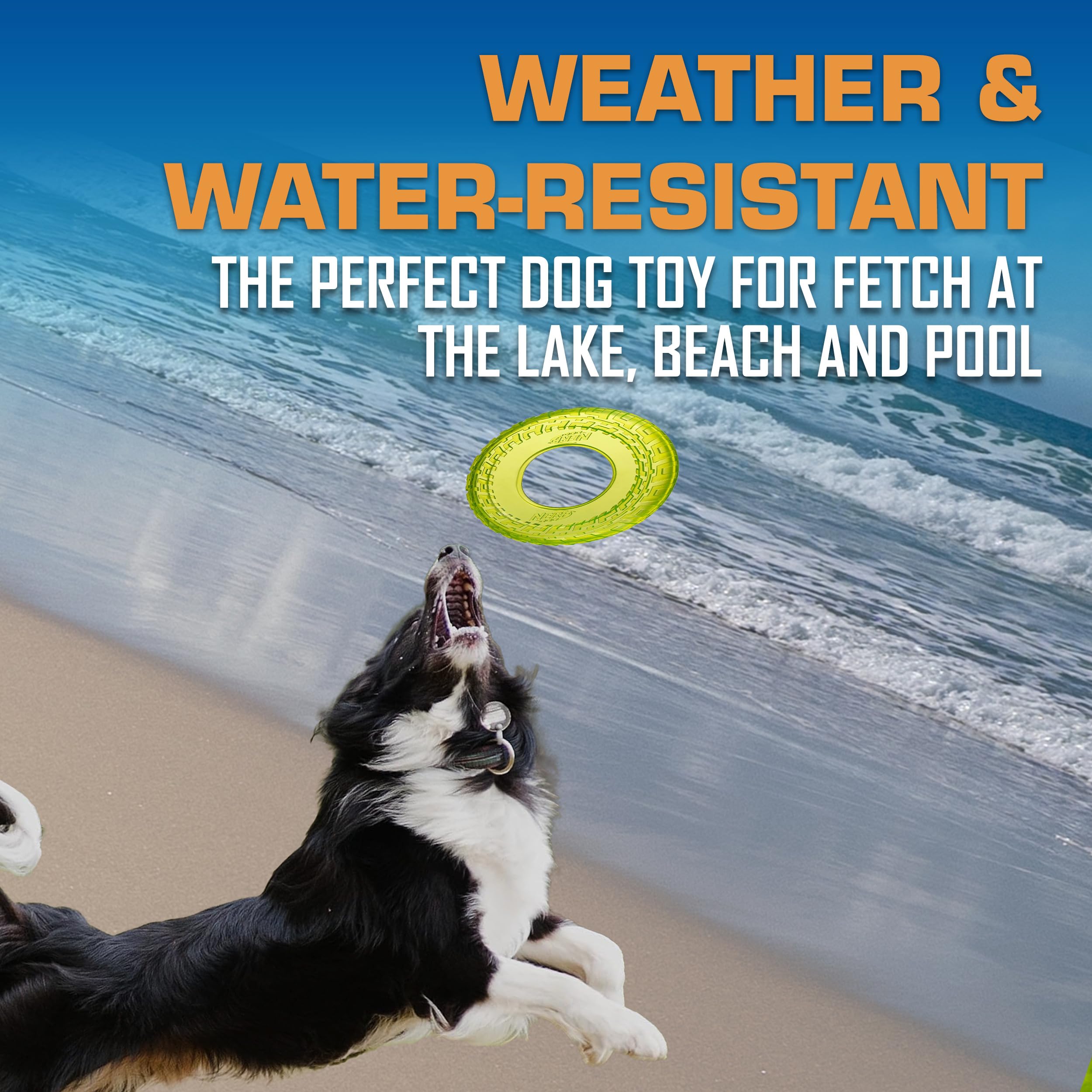 Nerf Dog Tire Flyer Dog Toy Gift Set, 10 Inch Flying Disc Dog Fetch Toys, Rubber Dog Toy For Medium Dogs And Large Dogs, Red, Translucent Green And Translucent Blue, 3 Count