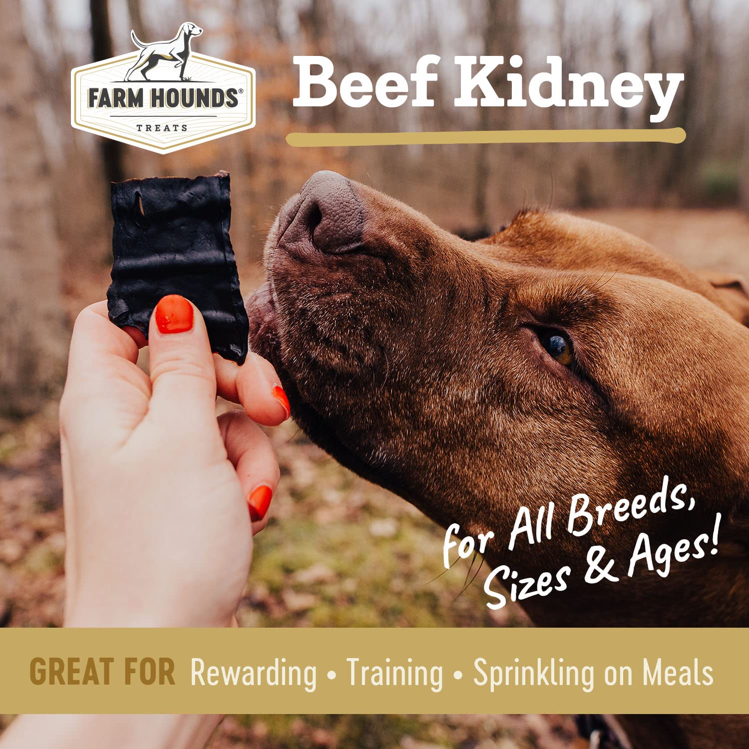 Farm Hounds - Beef Kidney - Premium Natural Beef Kidney Jerky For Dogs - Made From 100% Humanely Raised Cattle - Organ Treat - G