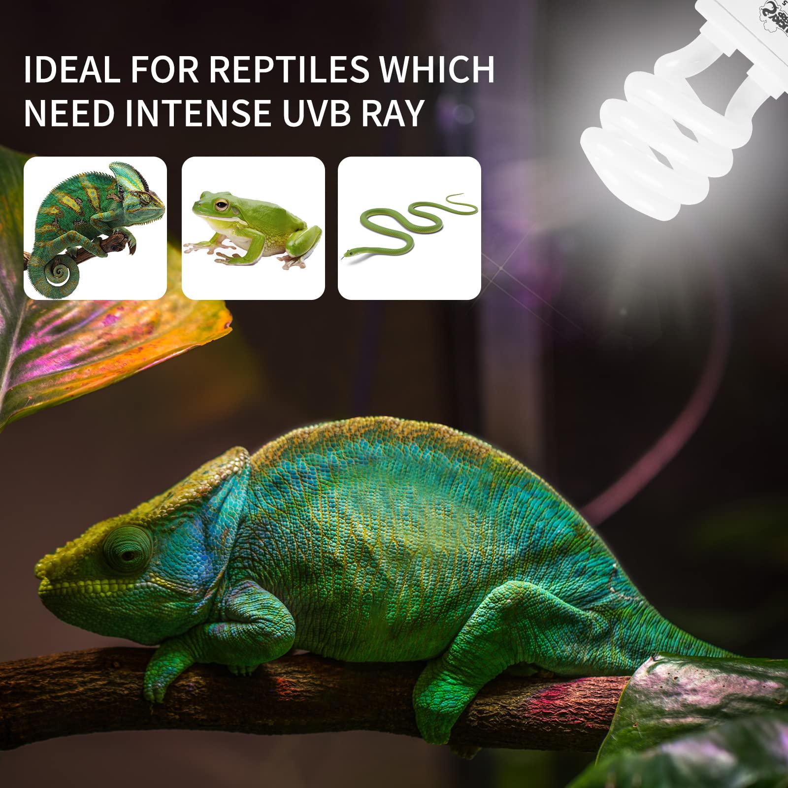 Lucky Herp Reptile Uva Uvb Light 5.0 13W Compact Fluorescent Tropical Terrarium Lamp