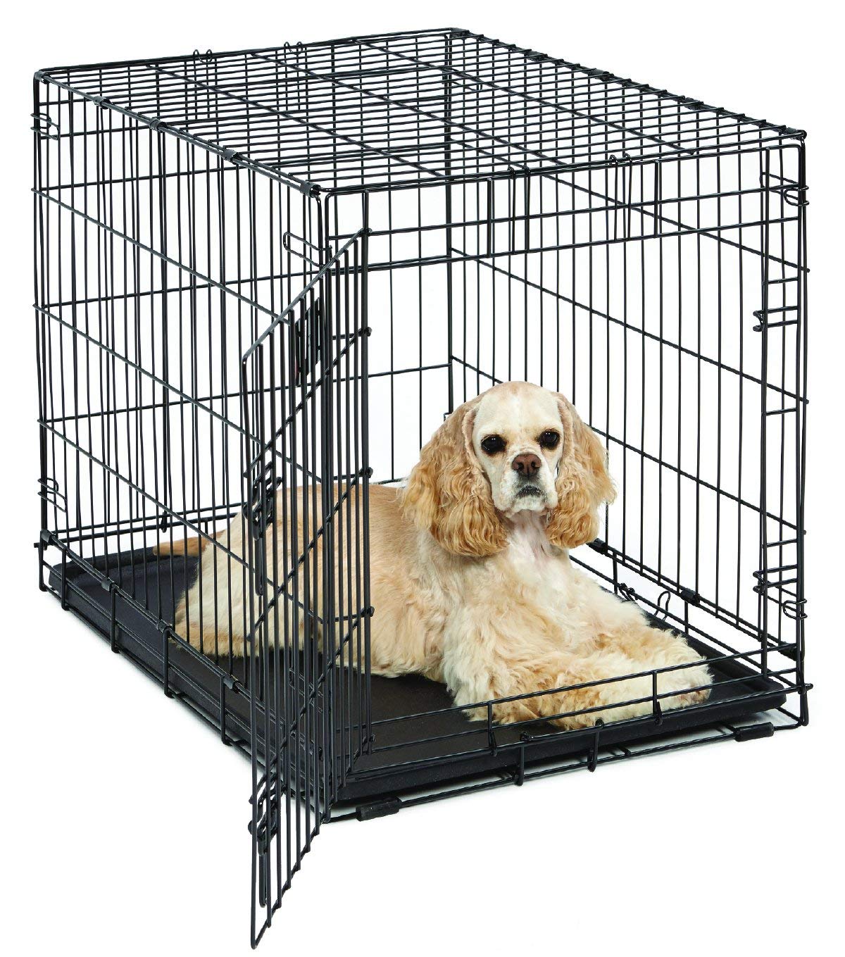 Medium Dog Crate | Midwest Life Stages 30' Folding Metal Divider Panel, Floor Protecting Feet, Plastic Tray 30L X 19W 21H Inches, Breed