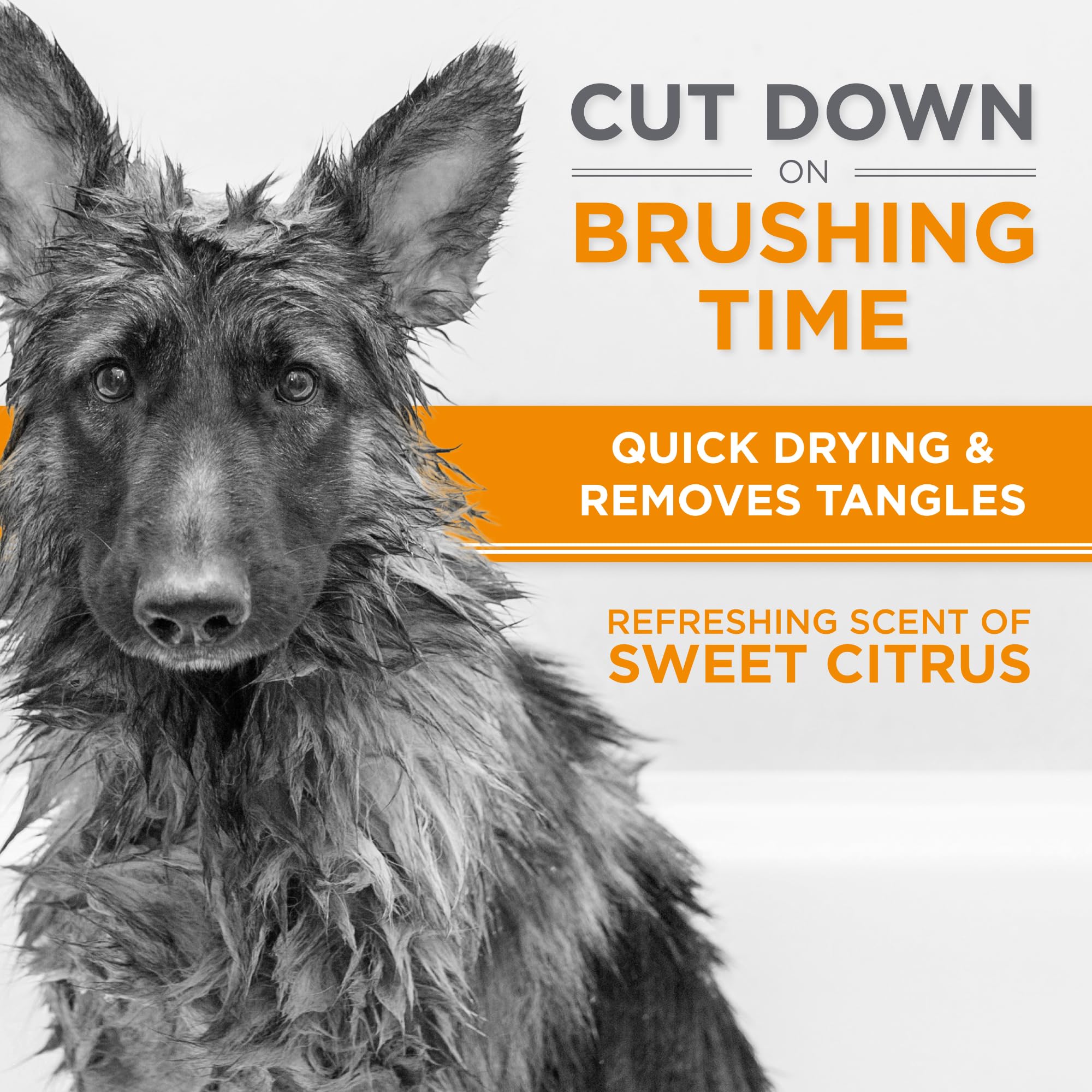 Tropiclean Perfectfur Shedding Control Dog Shampoo For Thick Double Coats| 5:1 Concentrated Groomer Gallon| Made In The Usa| 1 G