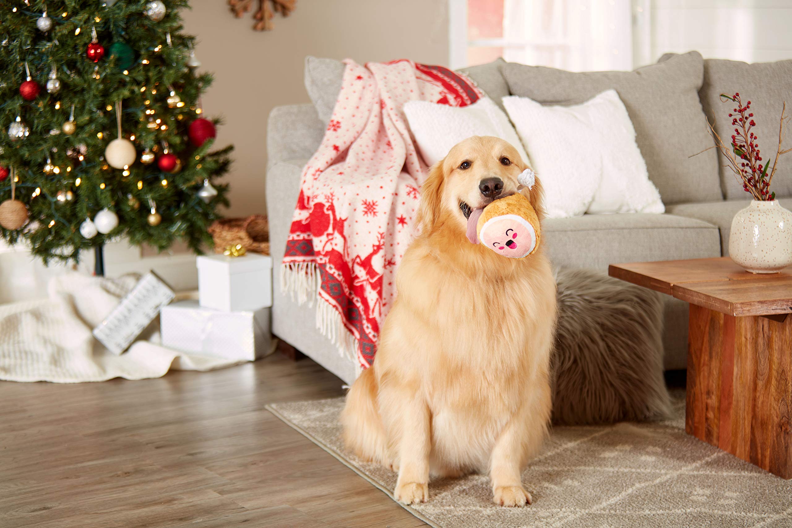 Pearhead Pet M.C. Hammy Plush And Rope Squeaker Dog Toy, Thanksgiving Fall Holiday Ham Pet Toy, Small Or Medium Dog Durable Fetc