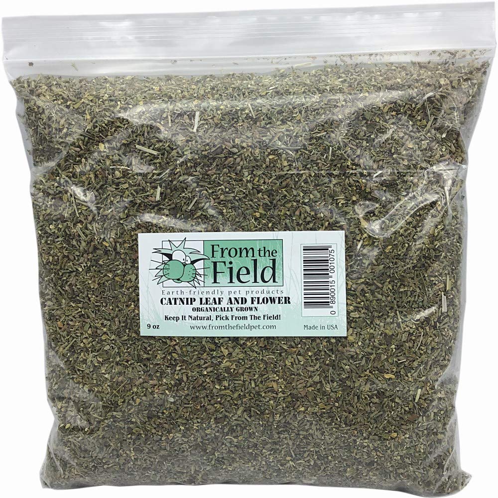 from The Field | 9 oz Catnip Leaf and Flower Bulk Bag | Organic, USA-Grown, High Potency Catnip for Cats & Kittens | Resealable,