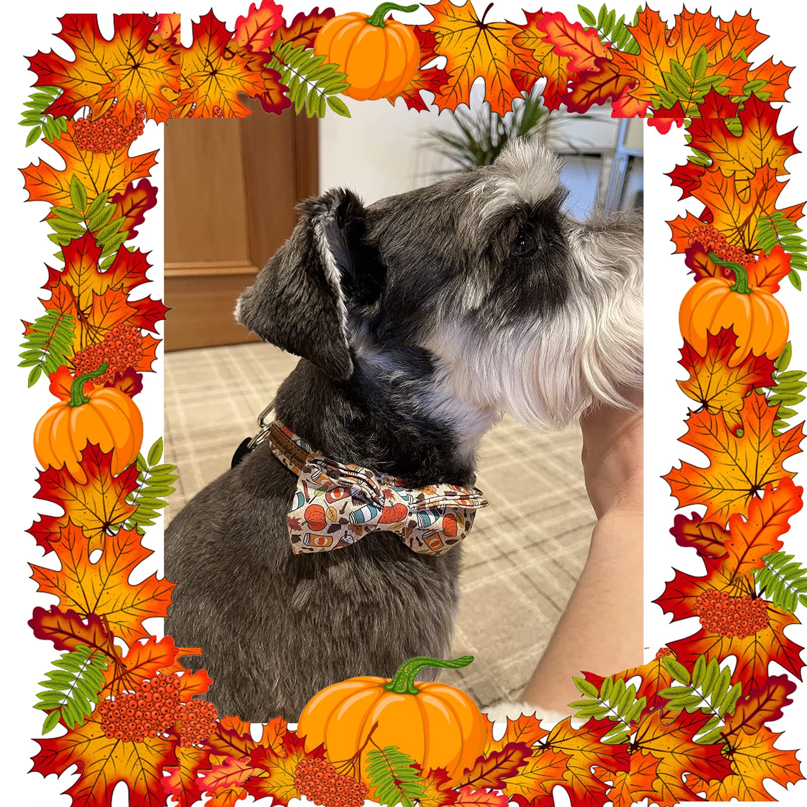 Unique Style Paws 1Pcs Dog Bandanas Washable Cotton Square Bibs Sarf, Adjustable Dog Kerchief For Small Medium Large Dogs And Ca