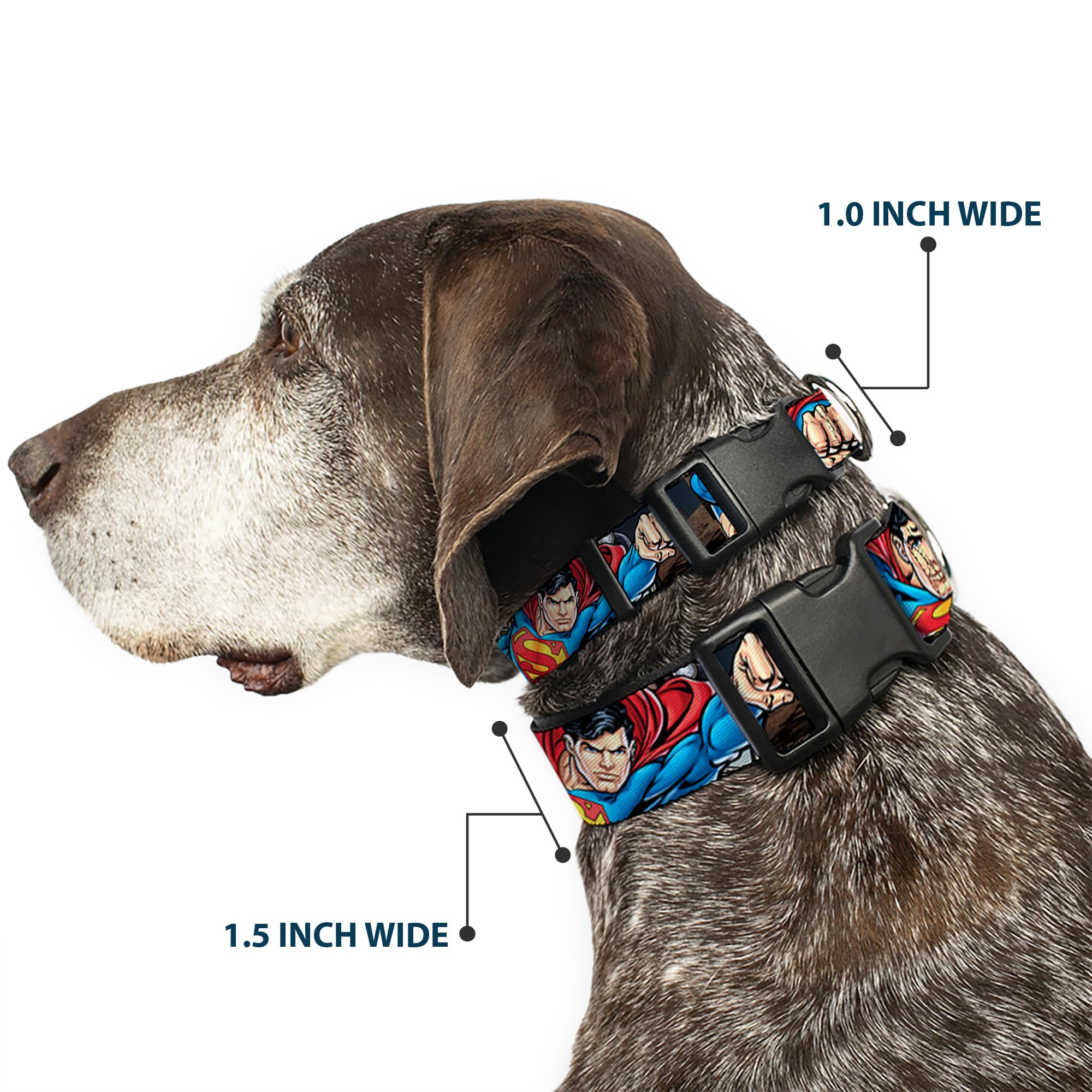Buckle-Down Dog Collar Plastic Clip Superman Metropolis Face Off 18 To 32 Inches 1.5 Inch Wide, Multicolor