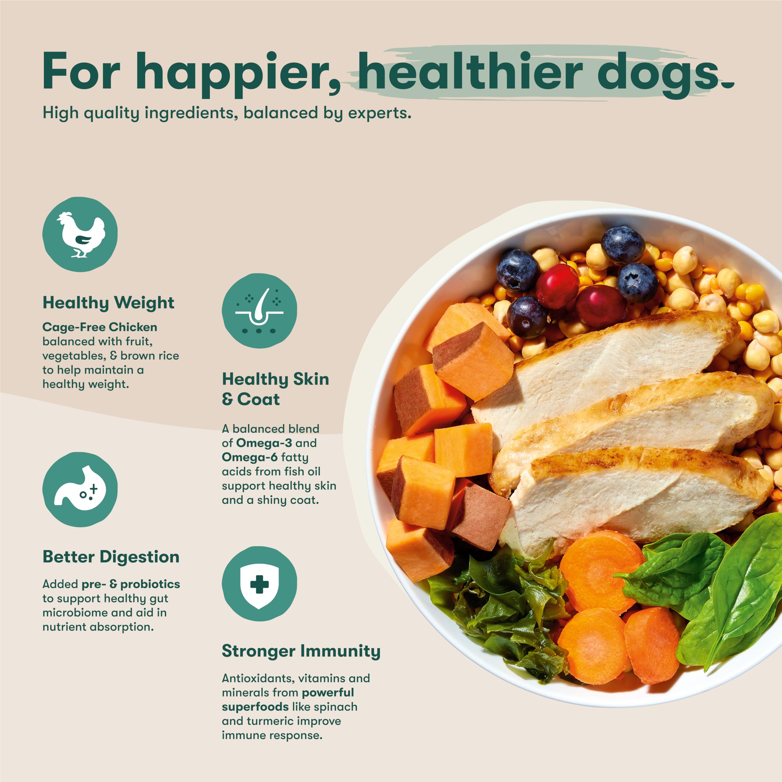Jinx Premium Grain-Free Dry Dog Food, for All Lifestages - Real Chicken, Sweet Potato & Carrot Kibble with Superfoods for Immune
