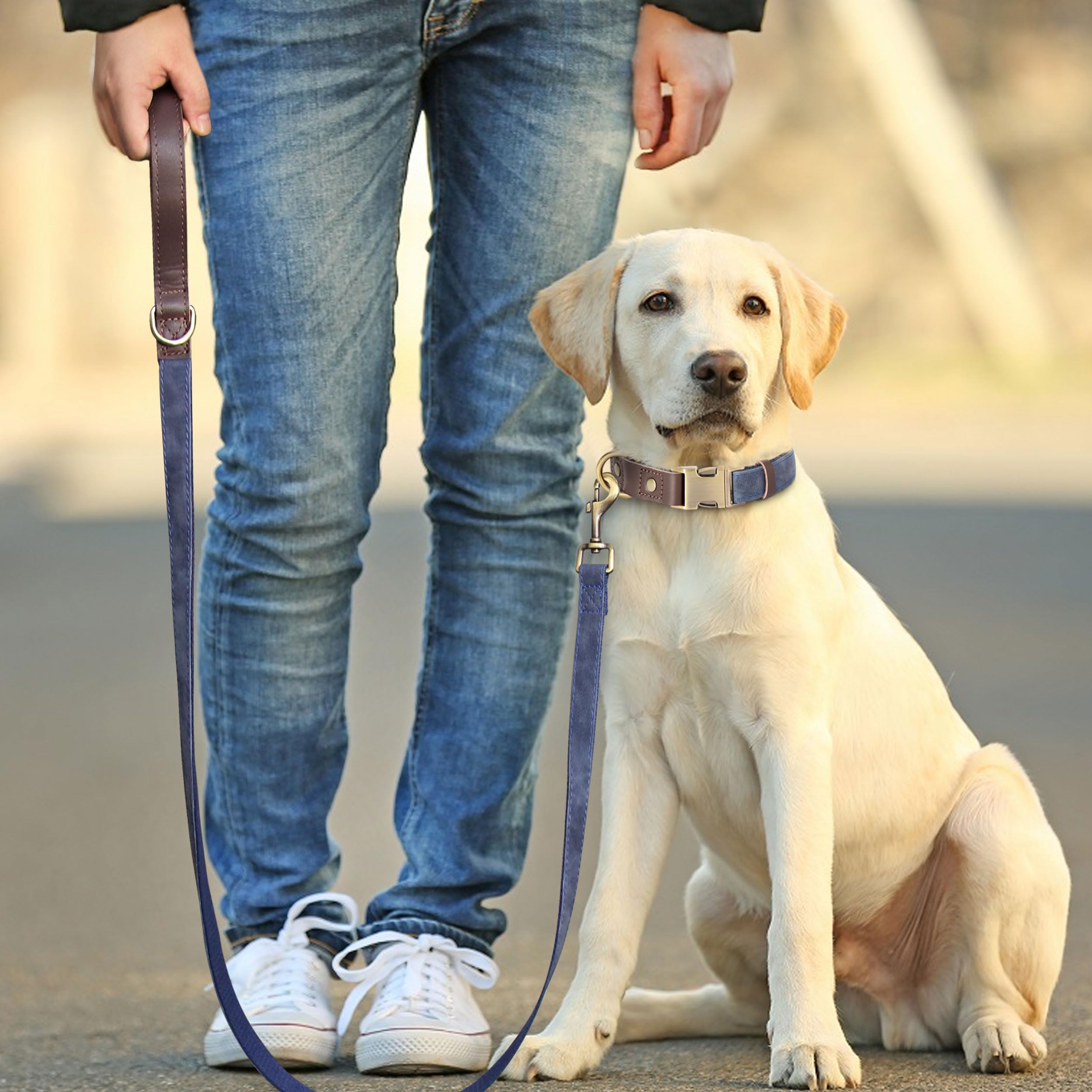 Didog Soft Padded Leather Dog Collars For Small Dogs,Classic Heavy Duty Dog Collars Adjustable With Quick Release Metal Buckle,B