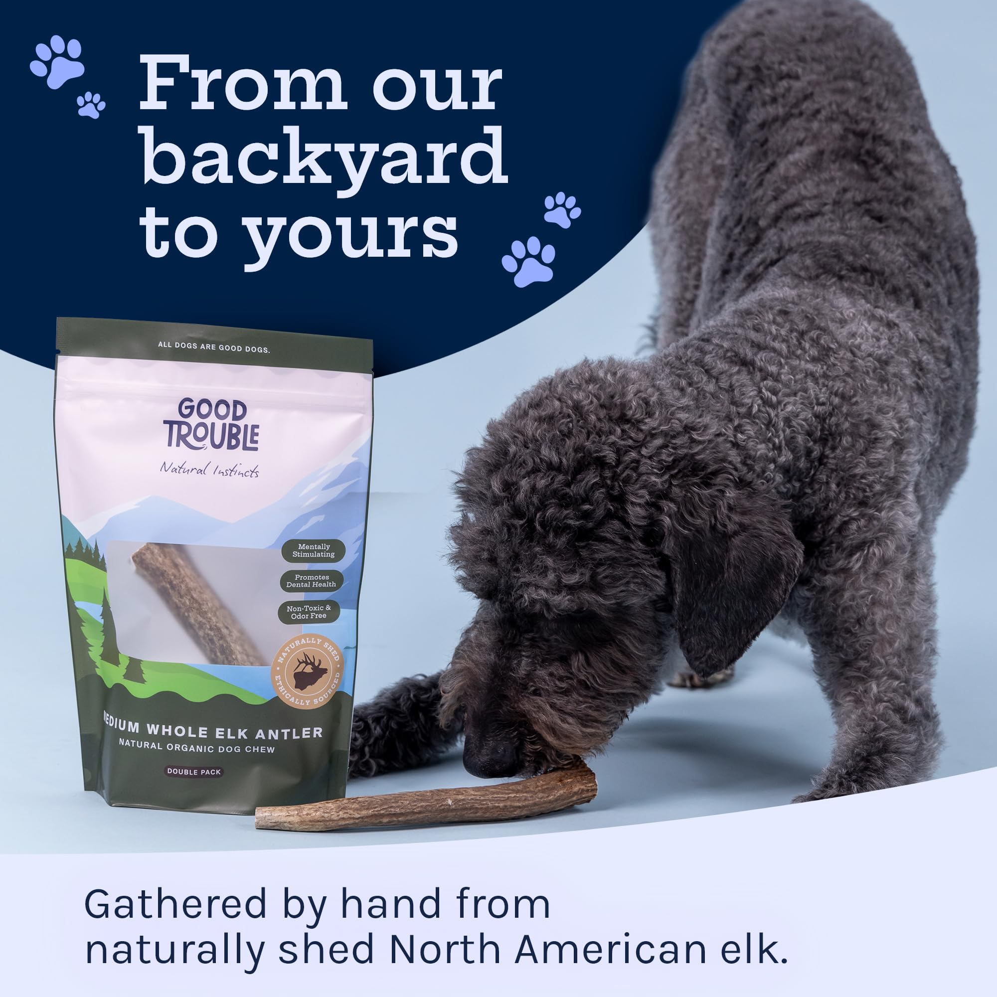Good Trouble Premium Elk Antlers For Small Dogs - 2 Pack Split Pets - All-Natural, Shed Antler Chews For Dental Health & Calming