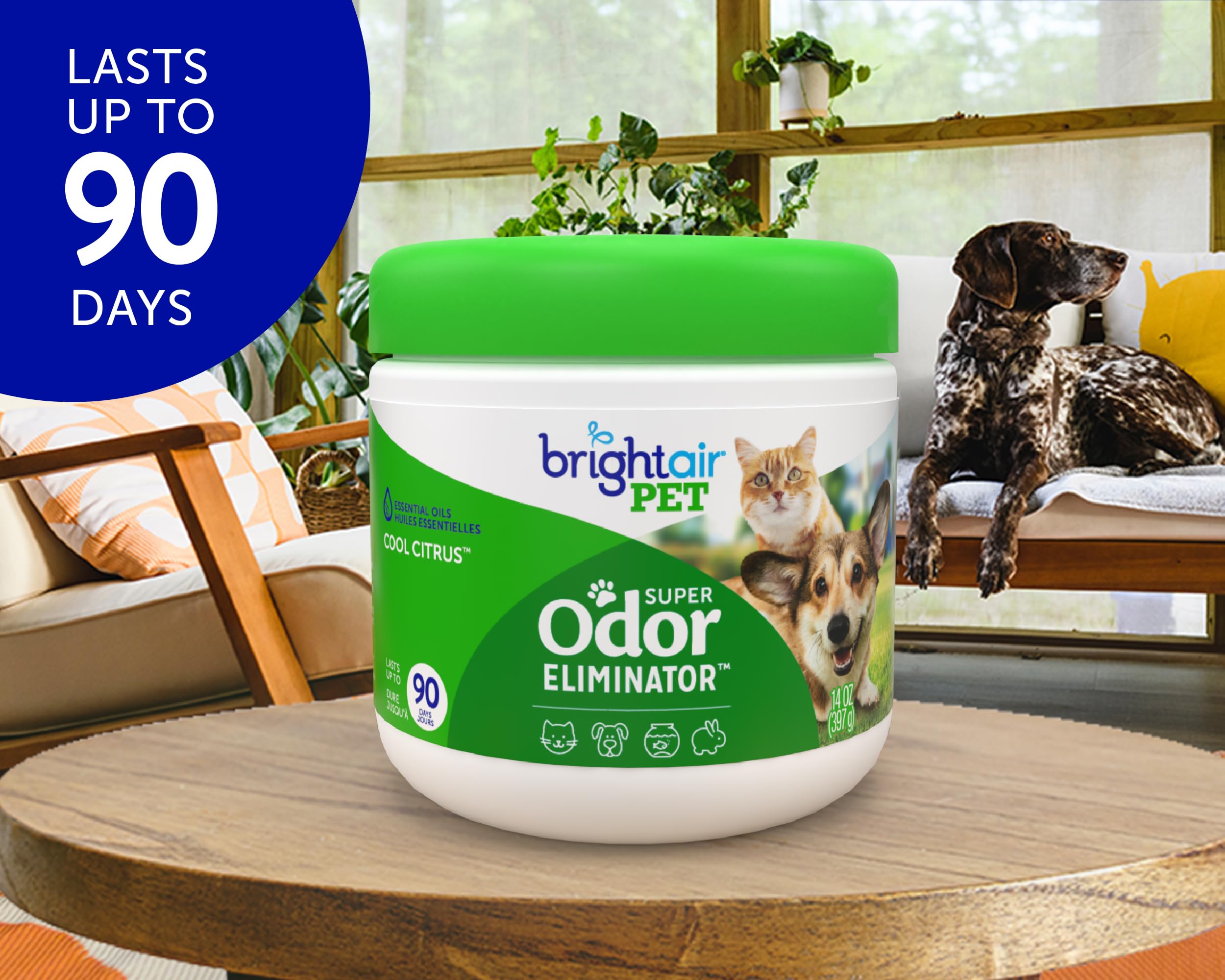 Bright Air 14 Oz. Super Odor Eliminator, For Medium-Size Spaces, Cool Citrus Scent, Case Of 6, Air Freshener, Natural Essential