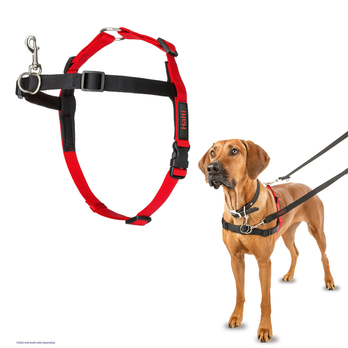 Halti Front Control Harness - To Stop Your Dog Pulling On The Leash. Adjustable, Lightweight And Easy To Use. Anti-Pull Dog Training Harness For Large Dogs (Size L)