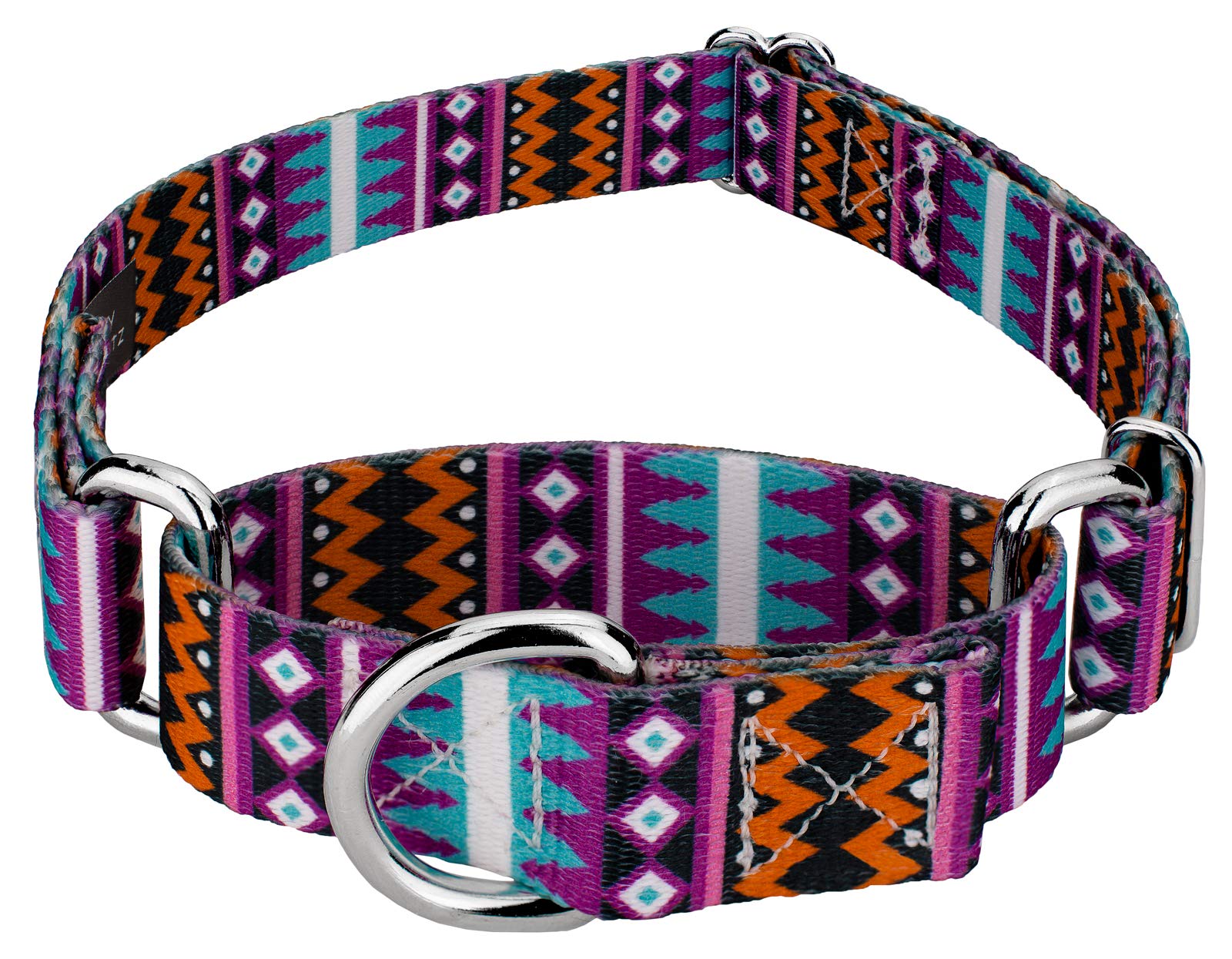 Country Brook Petz - Santa Fe Martingale Dog Collar - Country And Western Collection Featuring Rustic Designs (1 Inch, Medium)