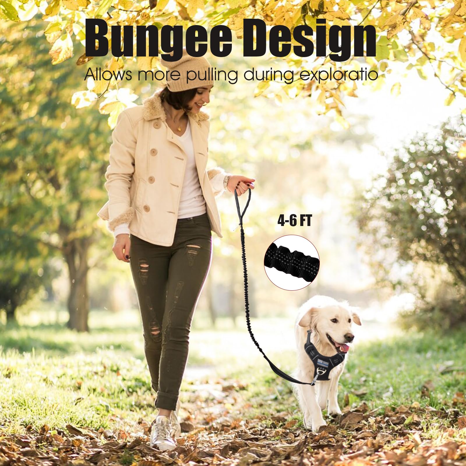 BUMBIN 6Ft Bungee Leash With 2 Handles for Large, Medium, Small Dogs - Heavy Duty, No Pull Shock Absorbing With Car Seat Belt fo