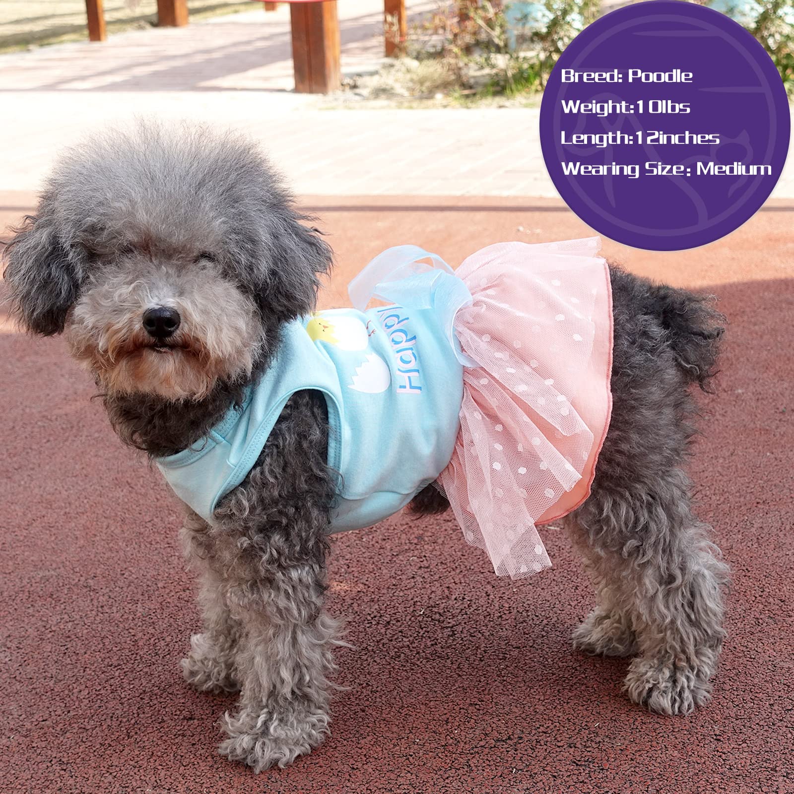 Cyeollo Small Dog Dress Happy Easter Clothes Cute Cartoon Print Holiday Outfit Tulle Dog Dresses For Small Dogs Girl