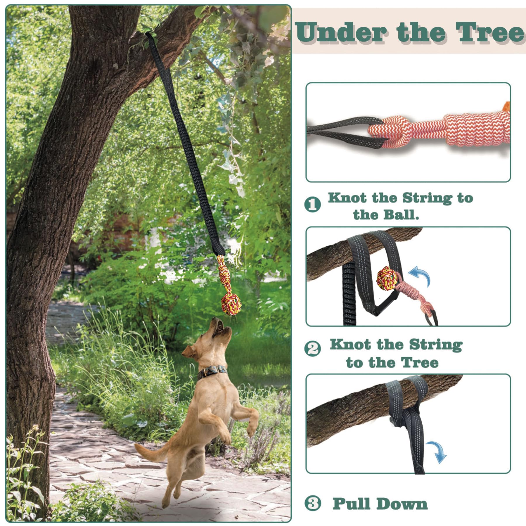 Sailstart Dog Bungee Tug Toy For Large/Medium/Small Dogs, Dog Tug Of War Toy With Stake,Outdoor Interactive Toys Can Be Used On