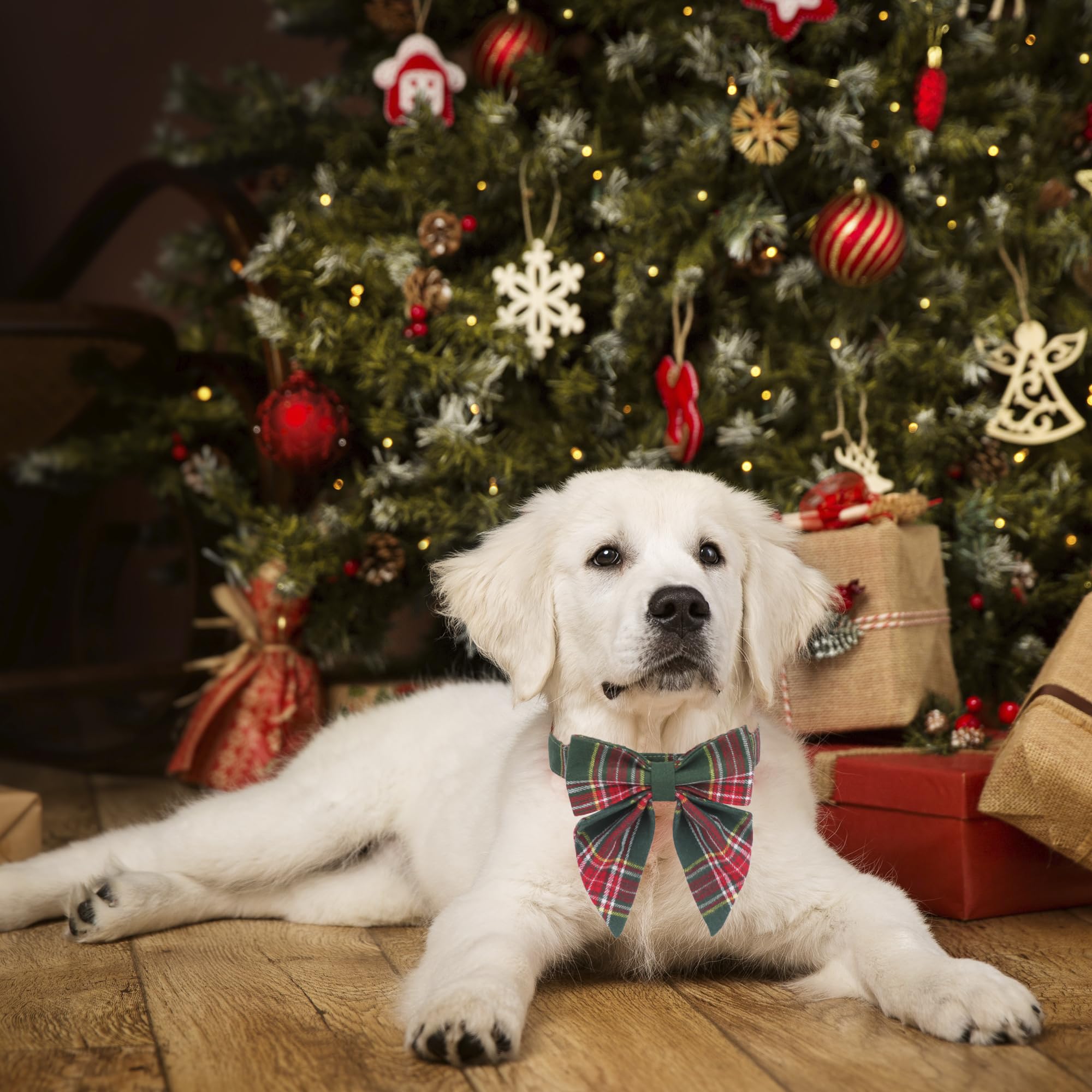 Adoggygo Christmas Dog Collar With Bow, Plaid Xmas Dog Bowtie Collar, Adjustable Green Dog Christmas Collars For Small Medium Large Dogs Pets (Medium, Green)