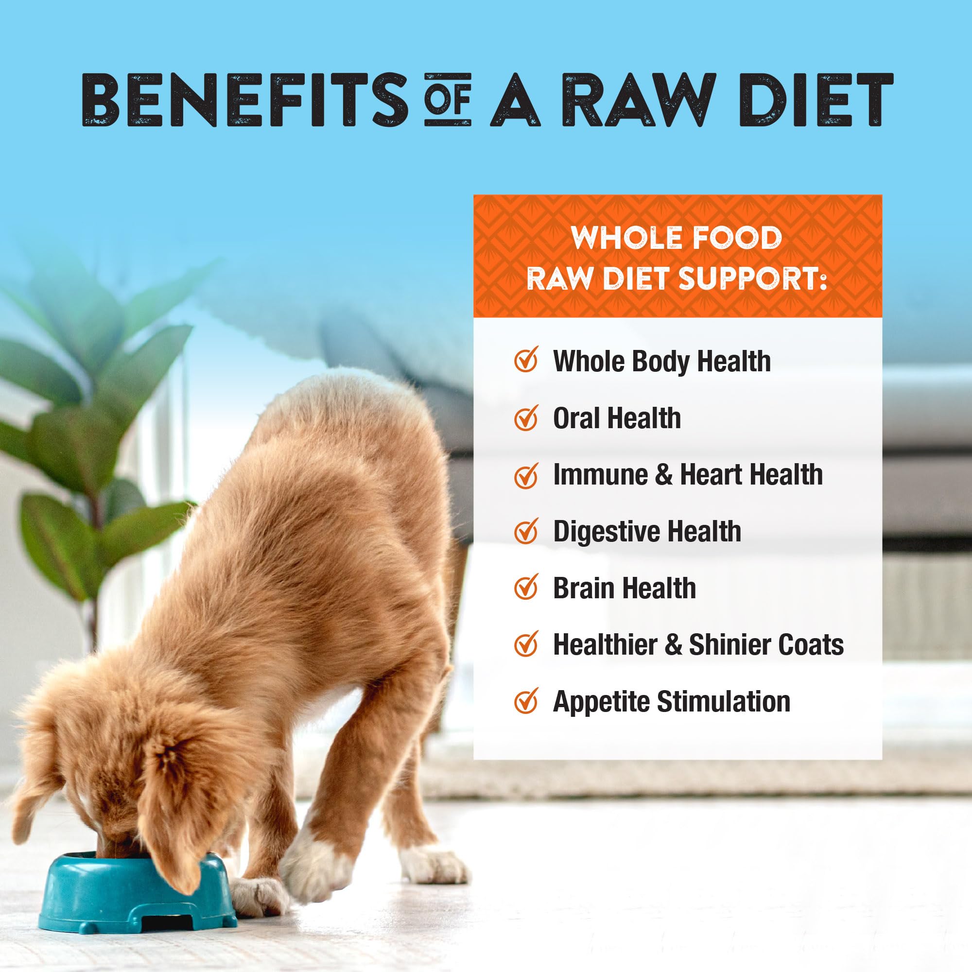 Northwest Naturals Freeze-Dried Chicken & Salmon Dog Food - Bite-Sized Nuggets - Grain-Free, High-Protein, Raw Diet, Human-Grade