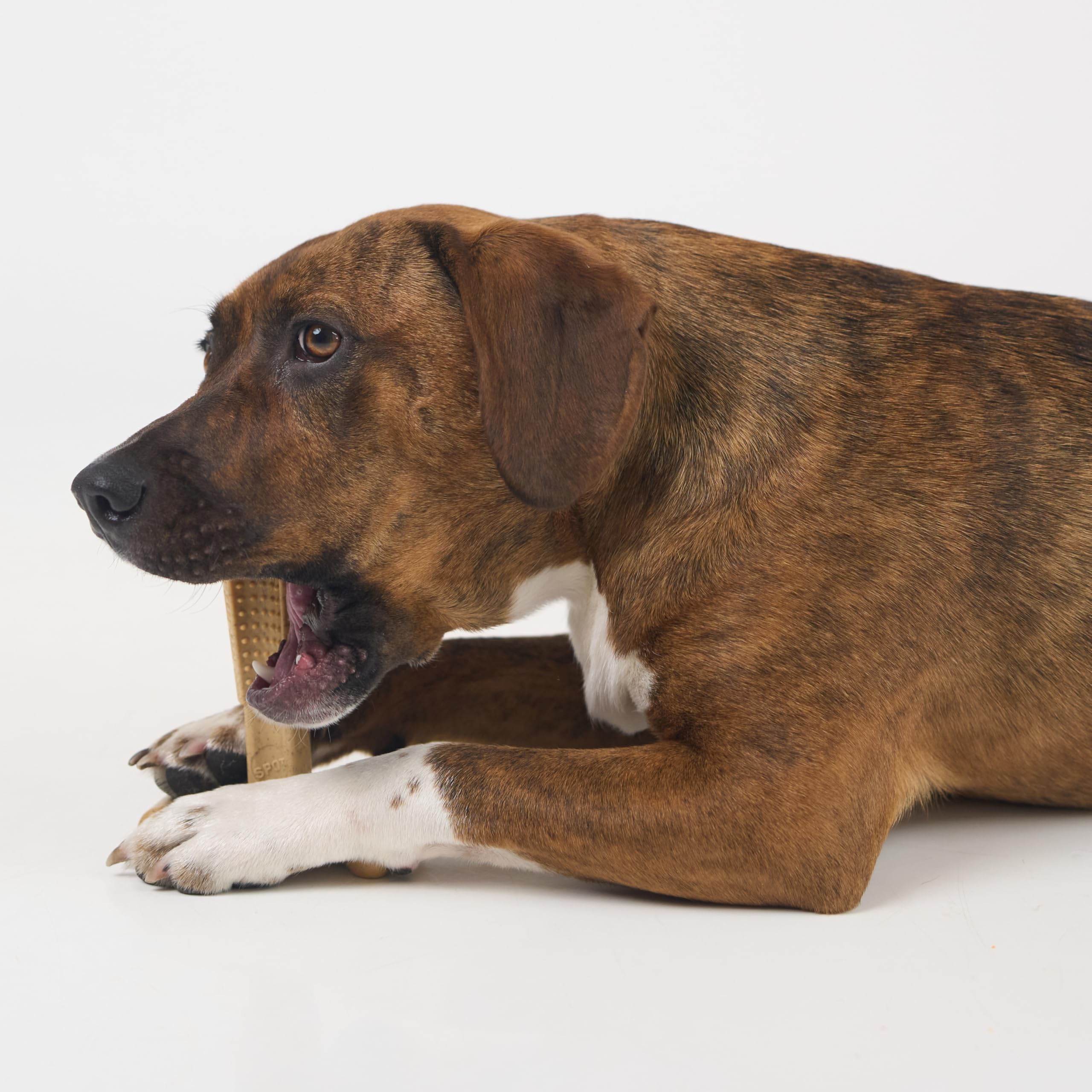 Spot Bambone Plus Chicken Dog Chew Toy Medium