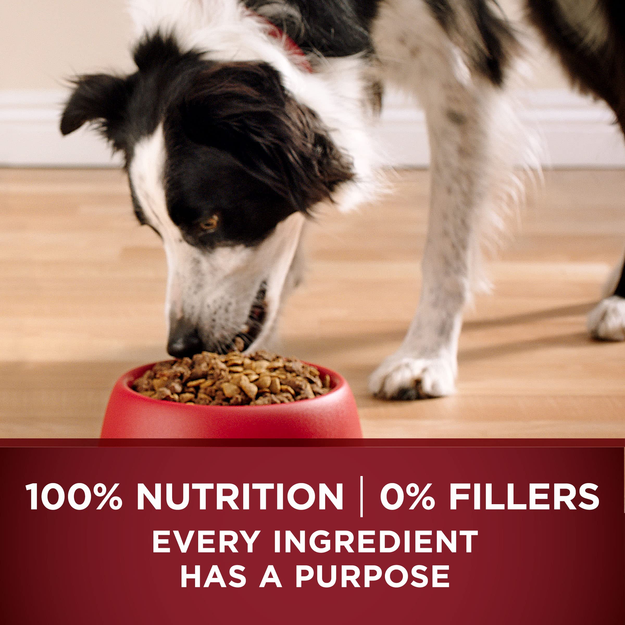 Purina ONE True Instinct High Protein Dry Dog Food Formula with Real Chicken and Duck Natural with Added Vitamins and Minerals D