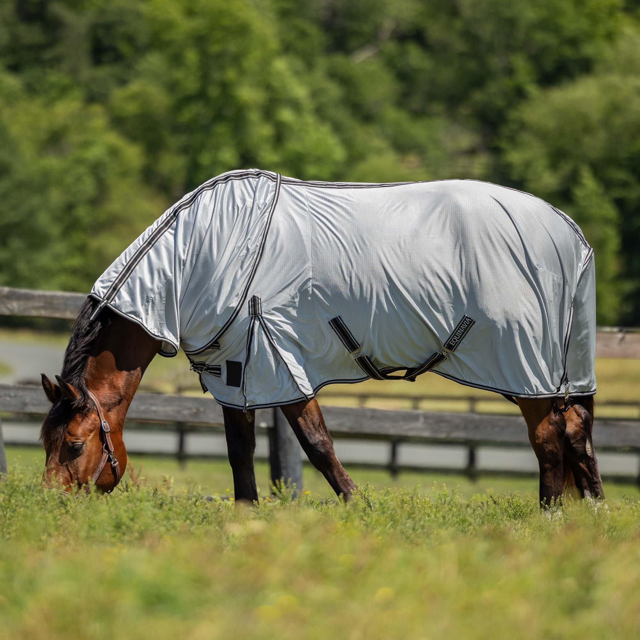 Equinavia Aktiv Athletic Detachable Neck Fly Sheet | Ultralight Poly Fabric | Extended Protection - Silver Gray - 78 In