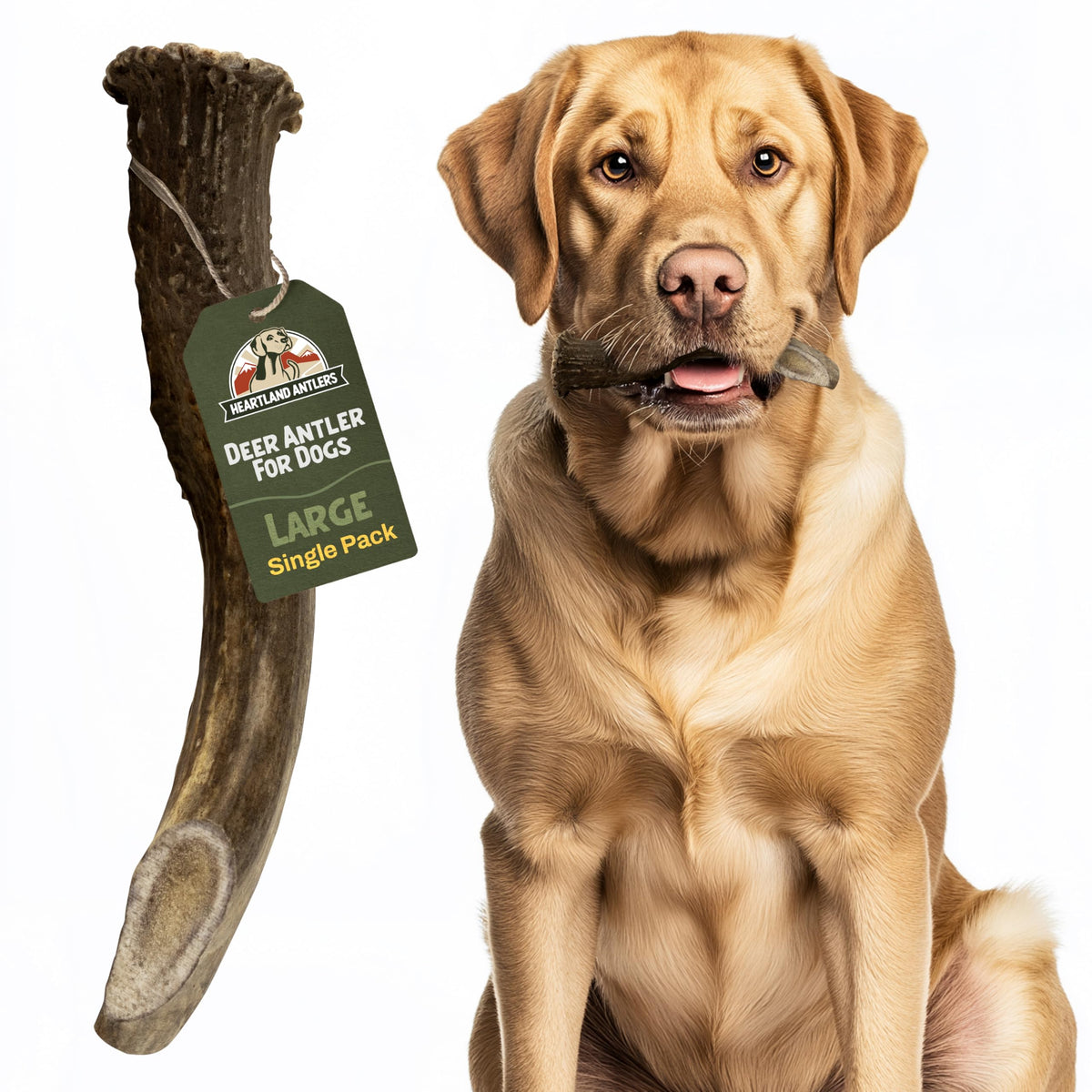 Heartland Deer Antlers For Dogs - Grade A, Naturally Shed Antlers | Dog Bones For Aggressive Chewers & Teething Puppies | Chew Toy For All Breeds | Usa Made & Veteran Owned (Large: 6-8', 1-Pack)