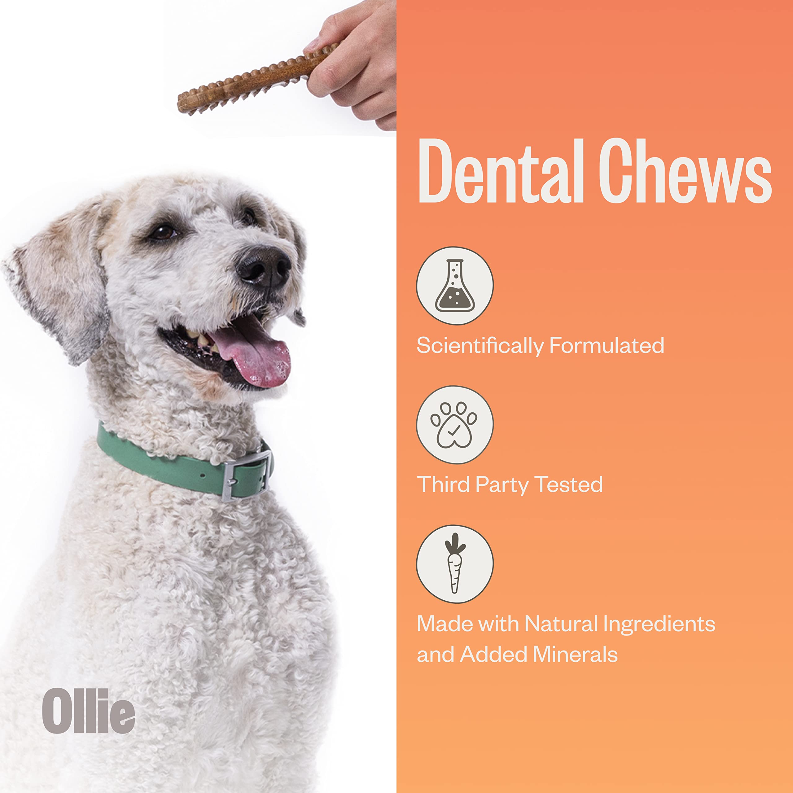 Ollie Dental Chews for Large Dogs, 12 Oz, Fresh Breath, Teeth Cleaning Treats, Sticks for Dog Oral Care, with Parsley and Cinnim