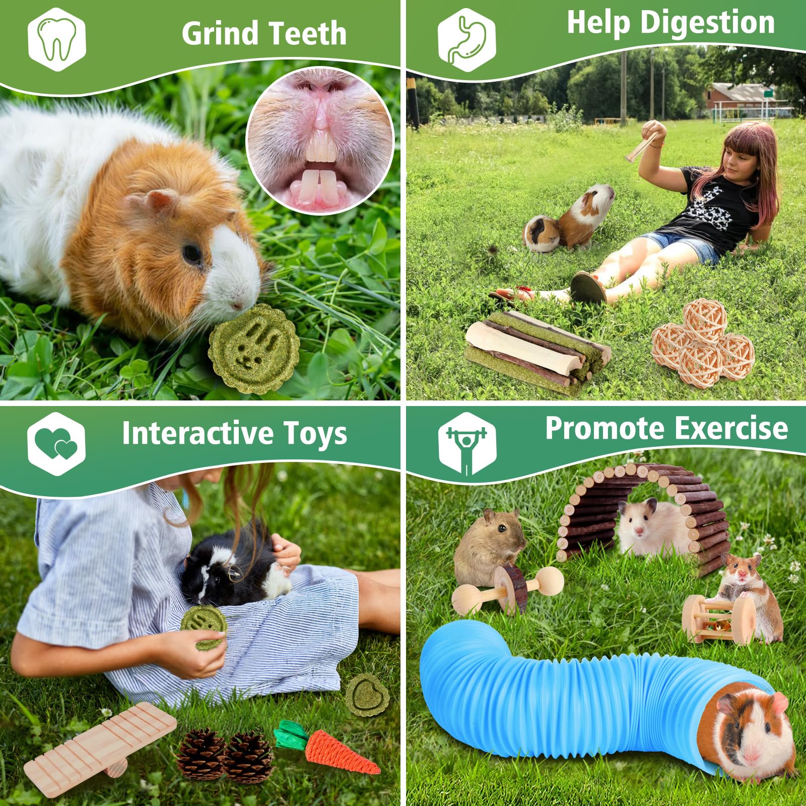Kyouki Hamster Toys Guinea Pig Toys Set With Tunnel, Chewable Apple Wood & Natural Timothy Hay - Enrichment Chew Toys For Small
