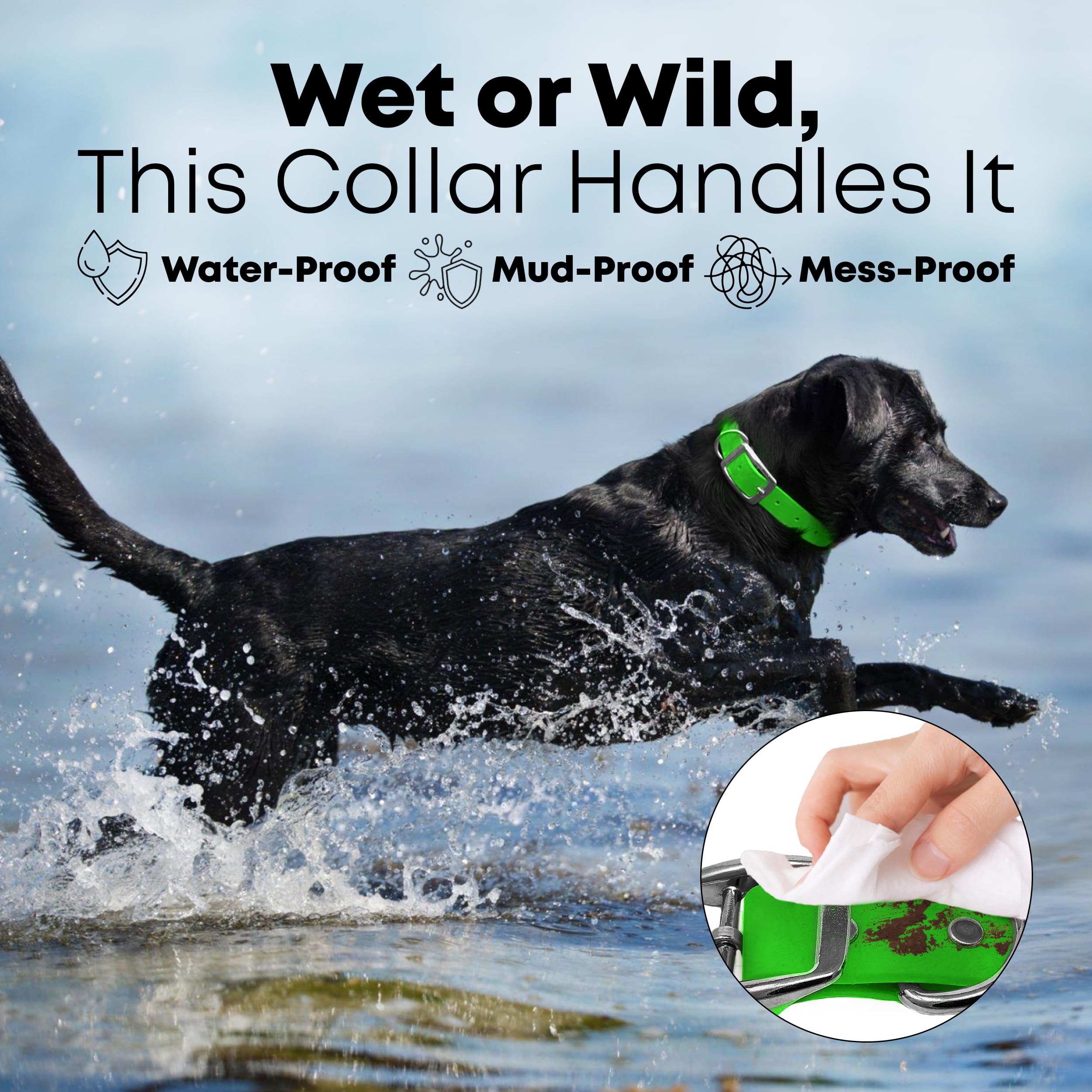 Regal Dog Products Small Light Green Waterproof Dog Collar and Leash Set | Heavy Duty Double Buckle & D Ring - 5'ft Leash | Adju