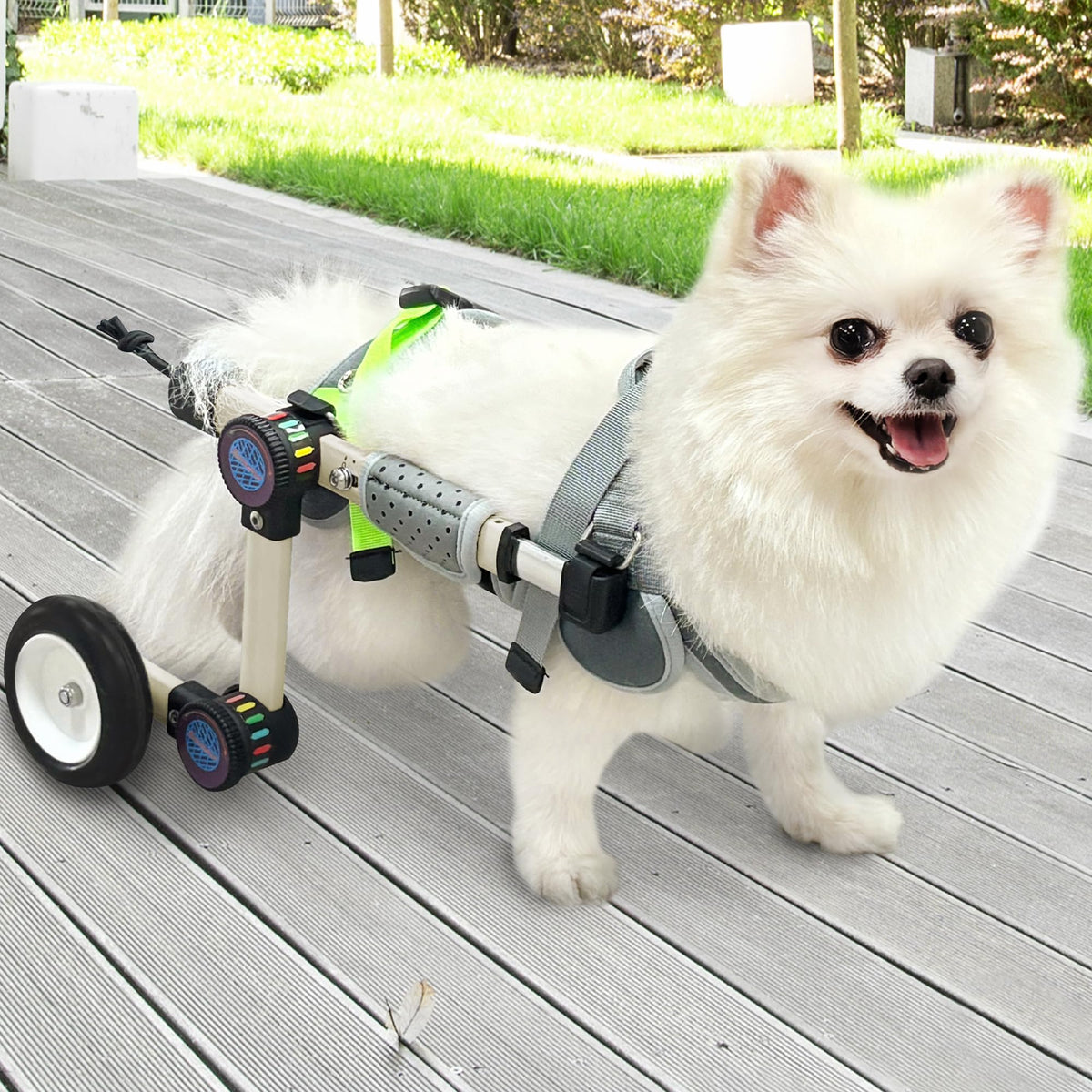 Letpetrun Adjustable Dog Wheelchair For Back Legs Mobility Support Lightweight Pet Wheelchair For Disabled Hind Legs Walking Sta