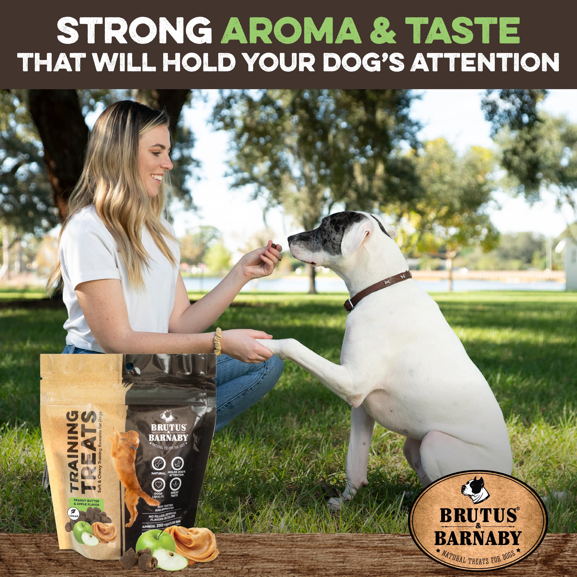 BRUTUS & BARNABY Training Treats for Dogs - Peanut Butter & Apple - All-Natural Healthy Low Calorie Vegan Treat - Great to Use f