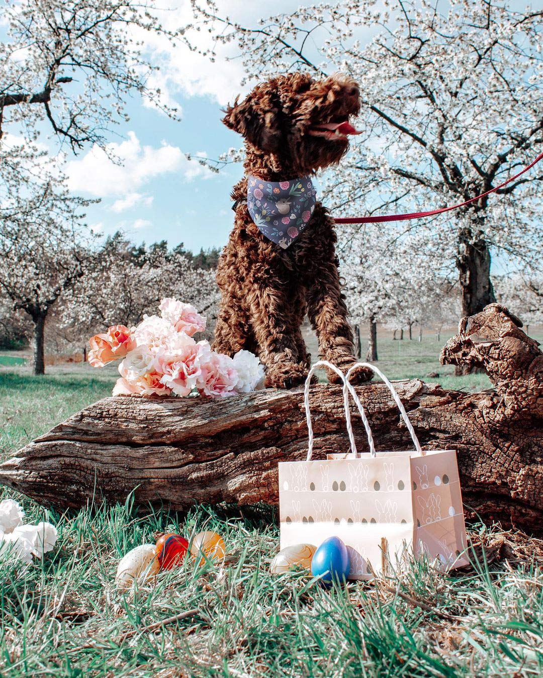 2 Pack Easter Dog Bandana - Triangle Bib Pet Scarf Accessories For Spring