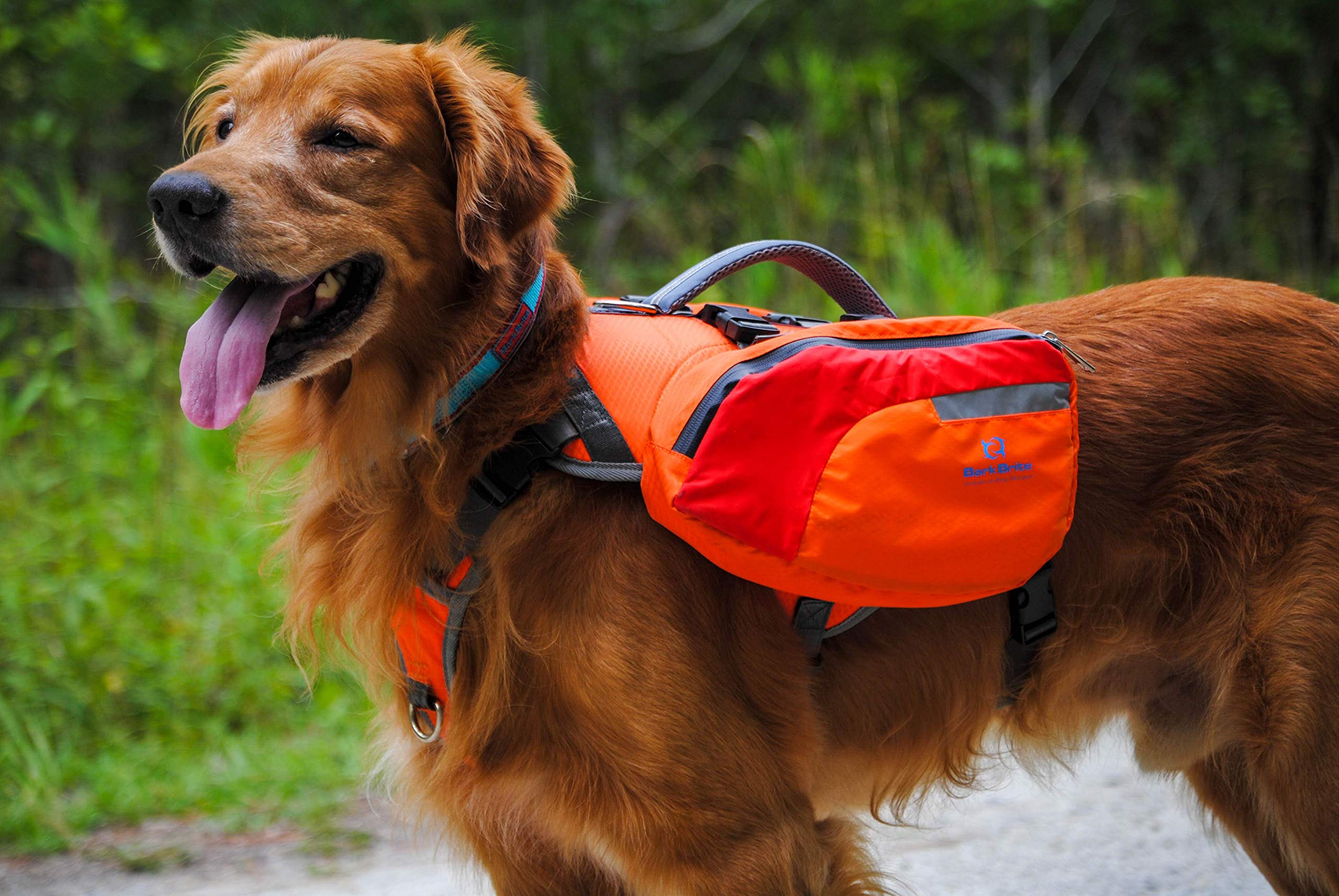 Multi-Purpose Dog Backpack Life Jacket (Size Large)