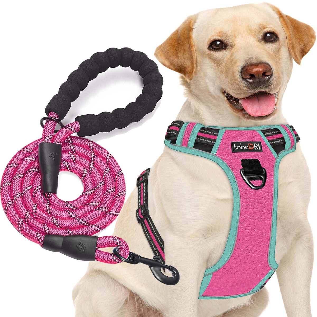 Tobedri No Pull Dog Harness Adjustable Reflective Oxford Easy Control Medium Large Harness With A Free Heavy Duty 5Ft Leash