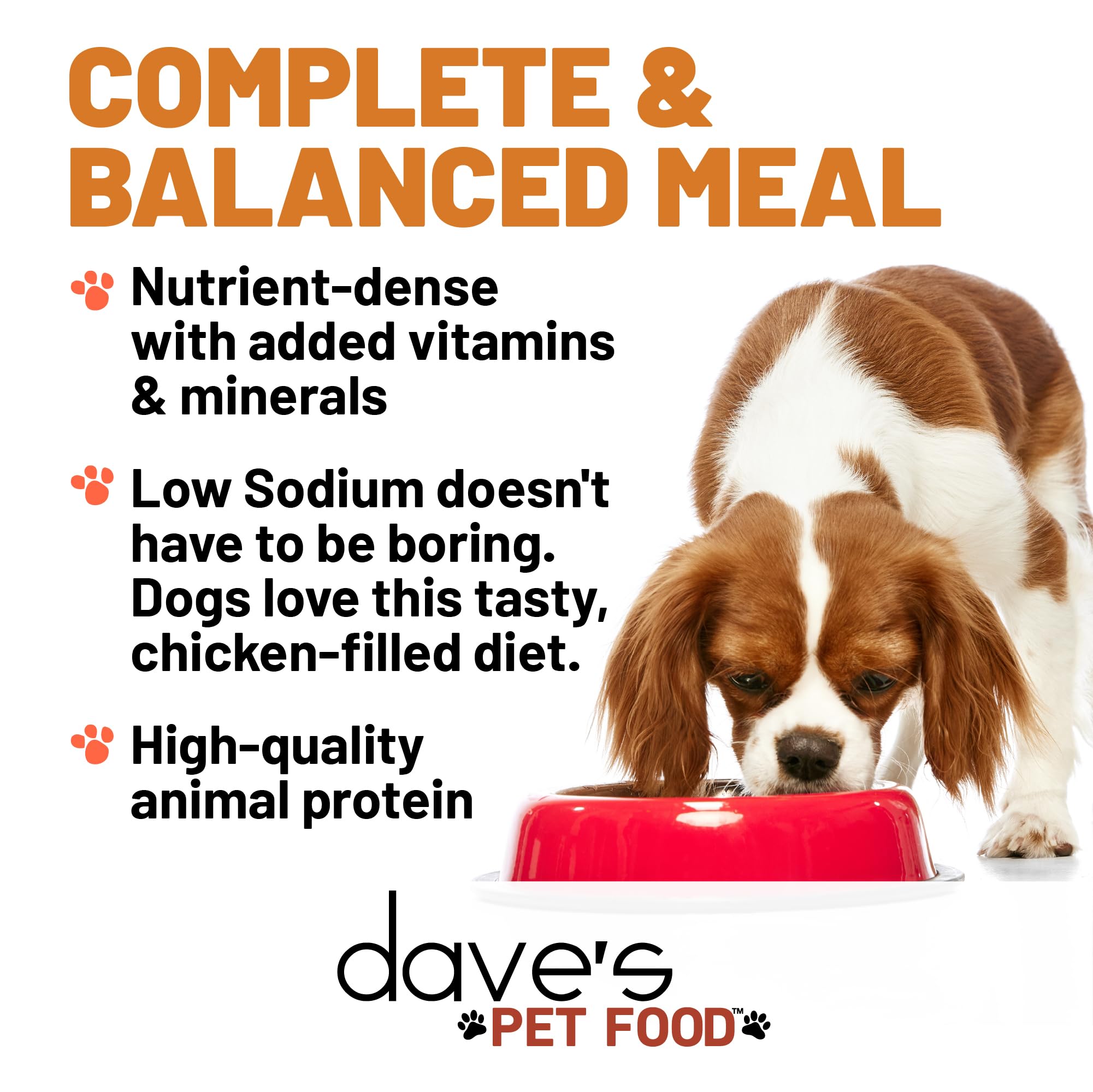 Daves Pet Food Restricted Sodium Diet for Dogs, Chicken Pate Recipe, 13.2 oz Canned Dog Food, Case of 12