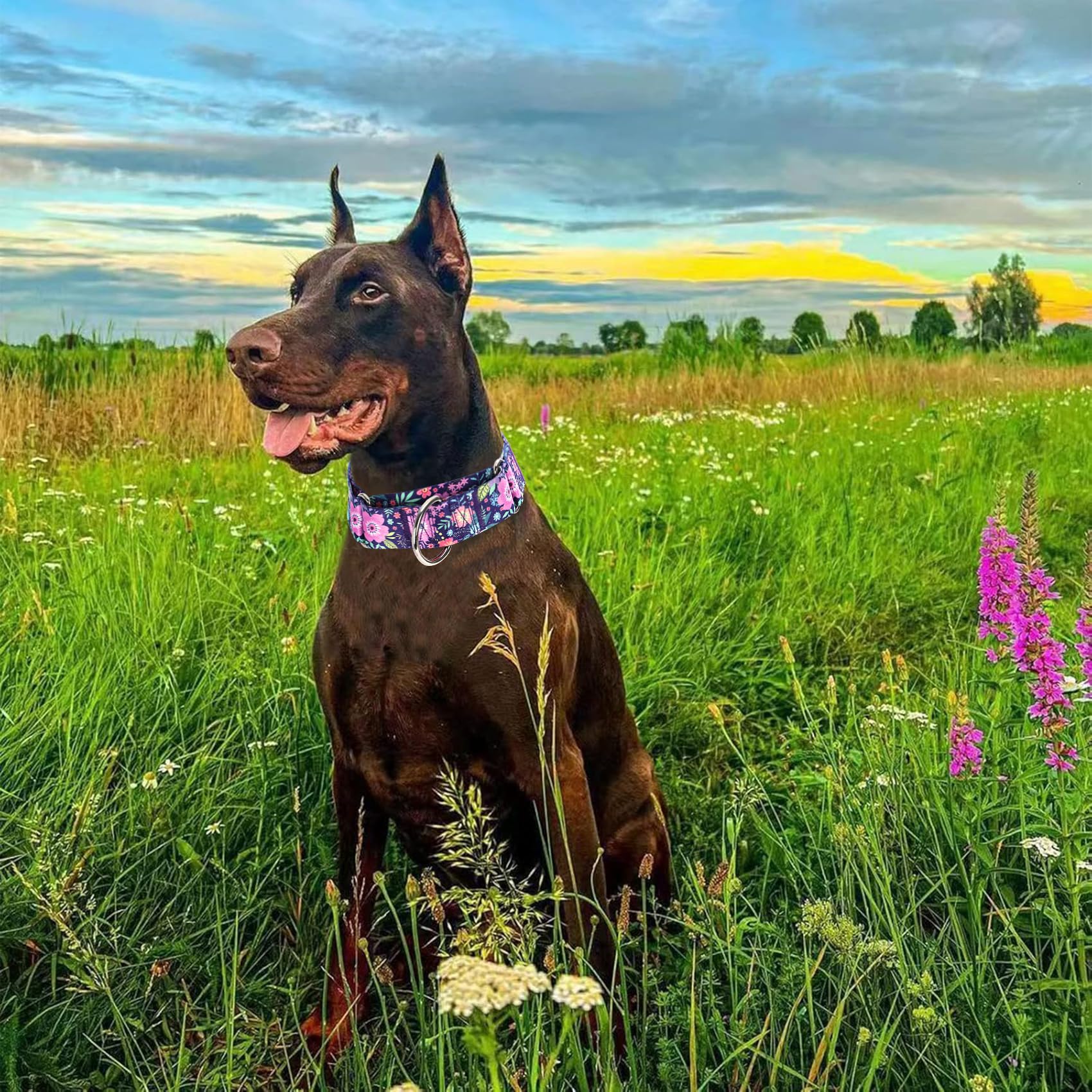 Martingale Dog Collar 1.5 Inch Wide - Bohemian Floral Print Adjustable Nylon No-Pull Training Collar For Large/Xl Dogs, Heavy Du