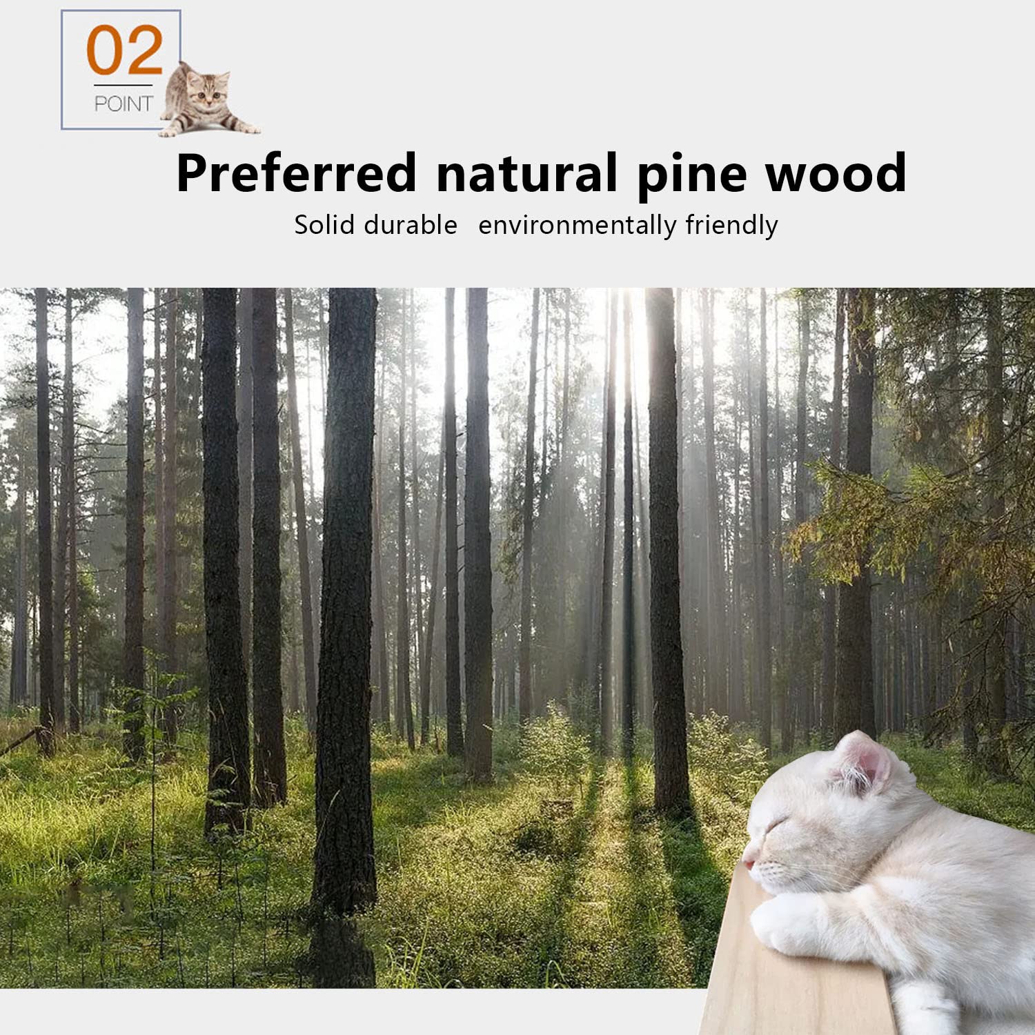 Cat Wall Shelves, Shelves And Perches For Wall, Furniture Set 7 Pcs Mounted With 1 Condos House, 4 Sisal Scratching Post, Ladder