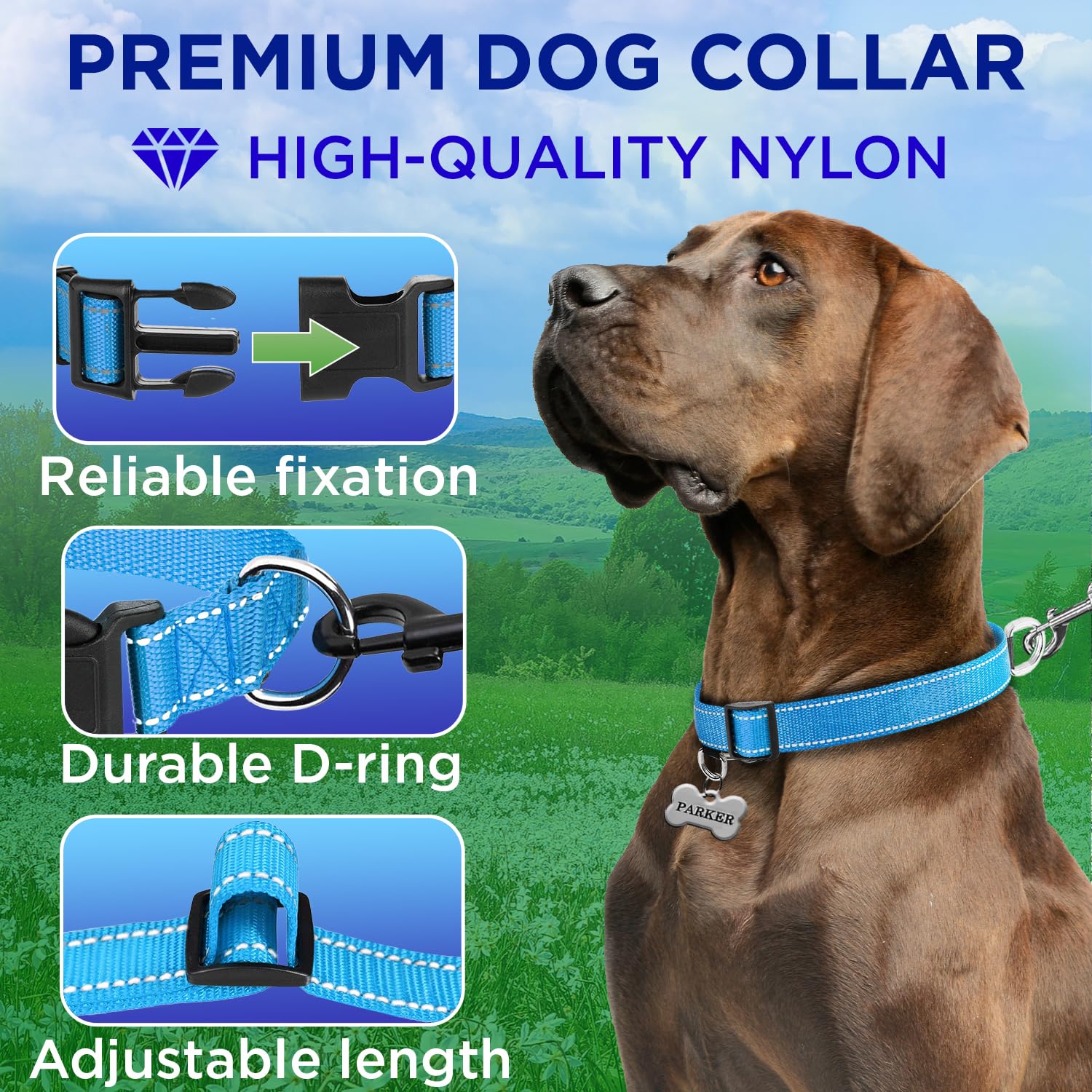 Teceum Reflective Dog Collar - Sky Blue - Xl - Basic Nylon Pet Collar - Quick Release Buckle - Fits Small, Medium And Large Dogs