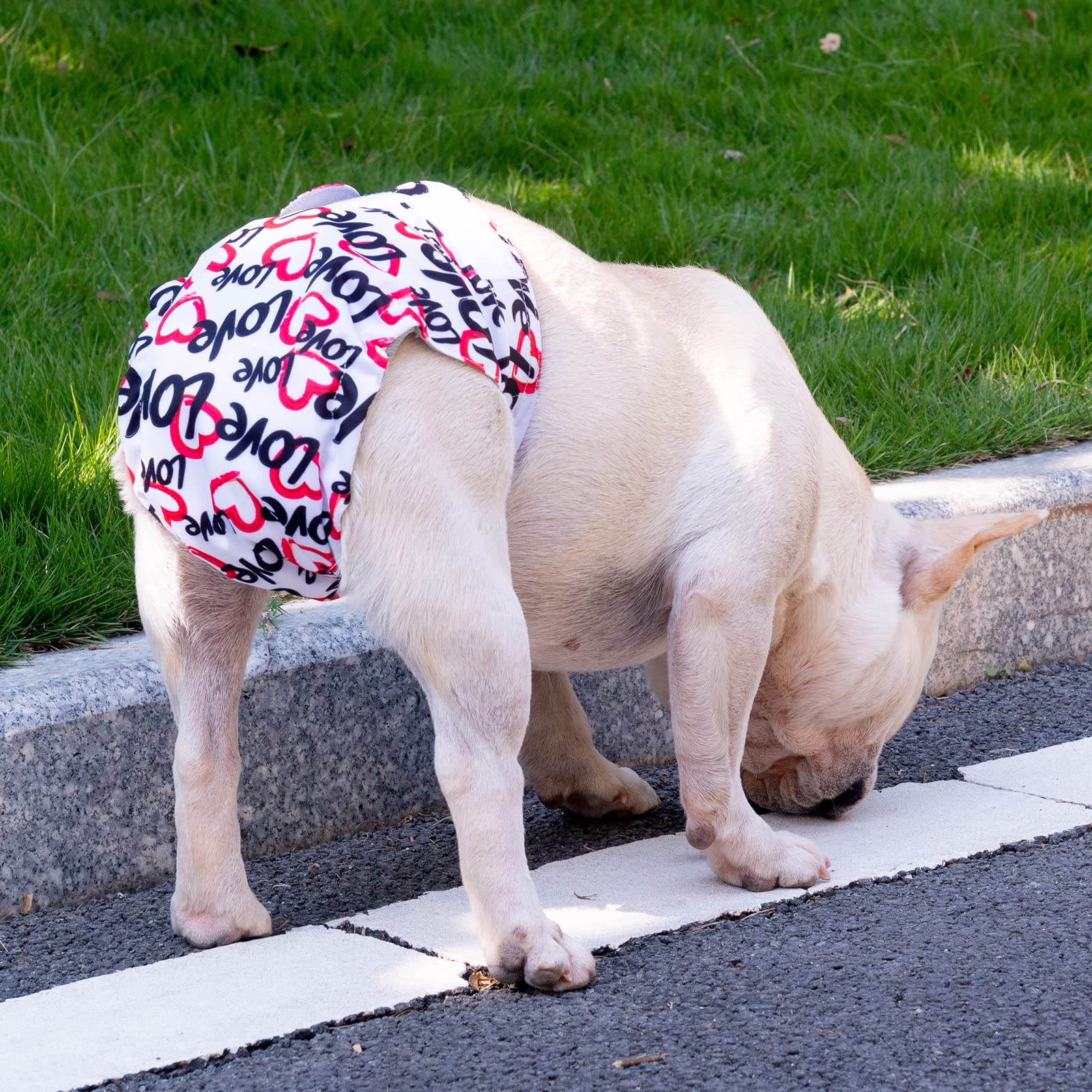 Cutebone Reusable Dog Diapers No Tail Hole 3 Pack Puppy Training Pants For Docked-Tail Dogs Wwd03L