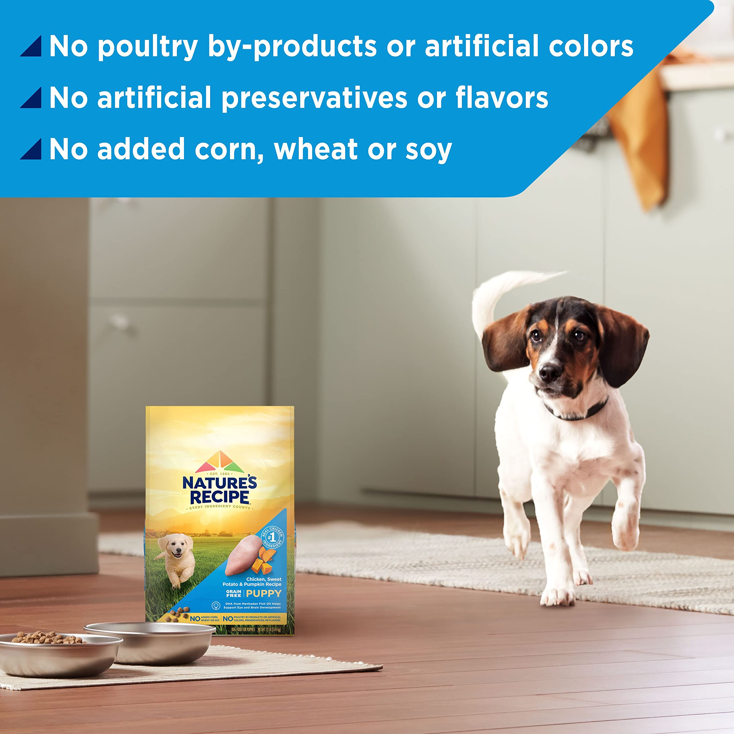 Natures Recipe Grain Free Puppy Chicken, Sweet Potato & Pumpkin Recipe Dry Dog Food, 12 lb. Bag