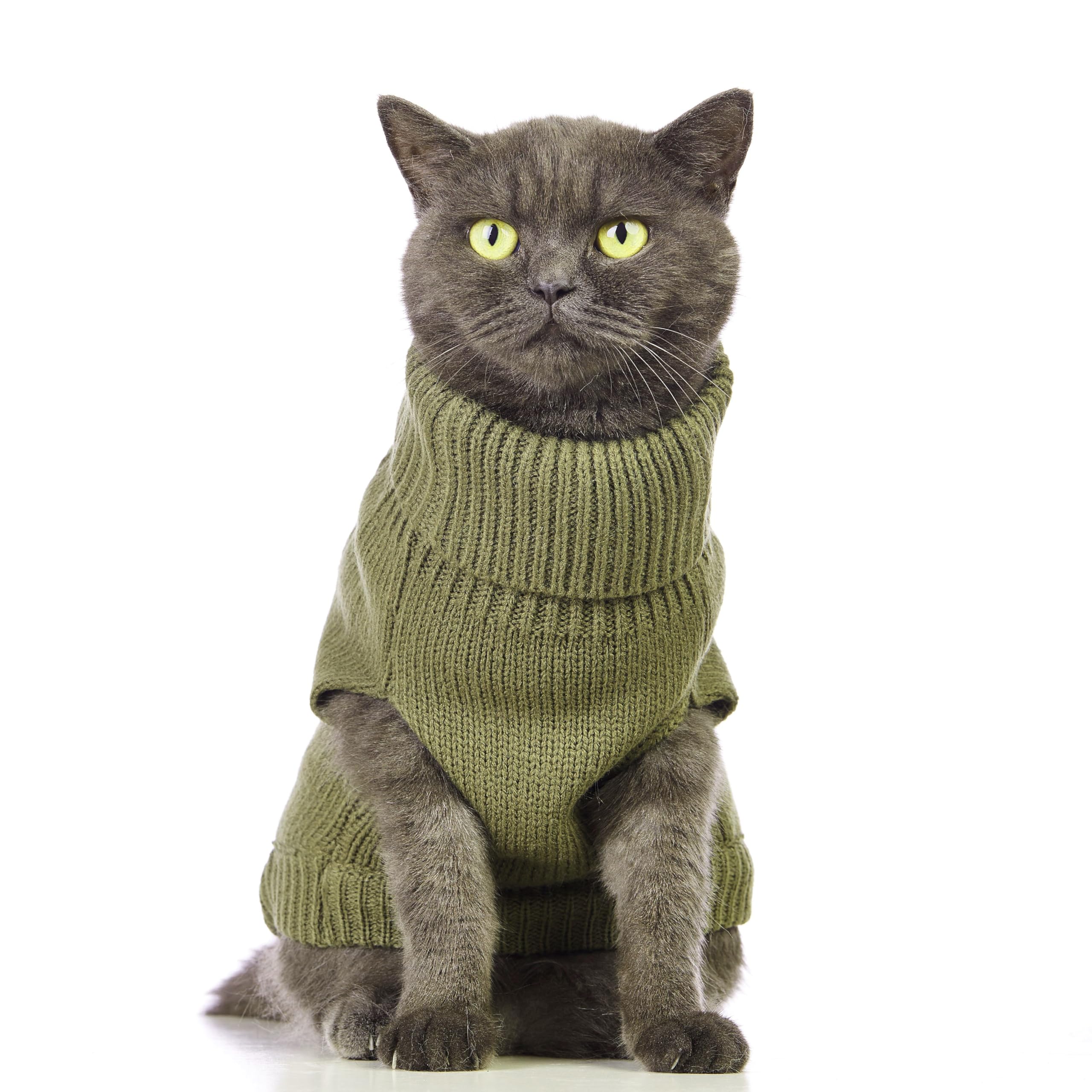 Jnancun Cat Sweater Turtleneck Knitted Sleeveless Cat Clothes Warm Winter Kitten Clothes Outfits For Cats Or Small Dogs In Cold Season (Small, Olive Green)