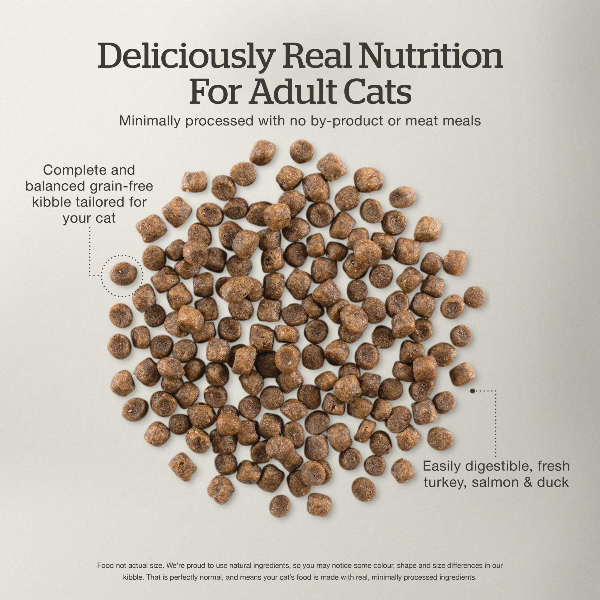 Now Fresh Grain-Free Dry Cat Food with Turkey, Salmon & Duck, Healthy Kibble for Adults Made with Real Poultry & Fish, Chicken-F