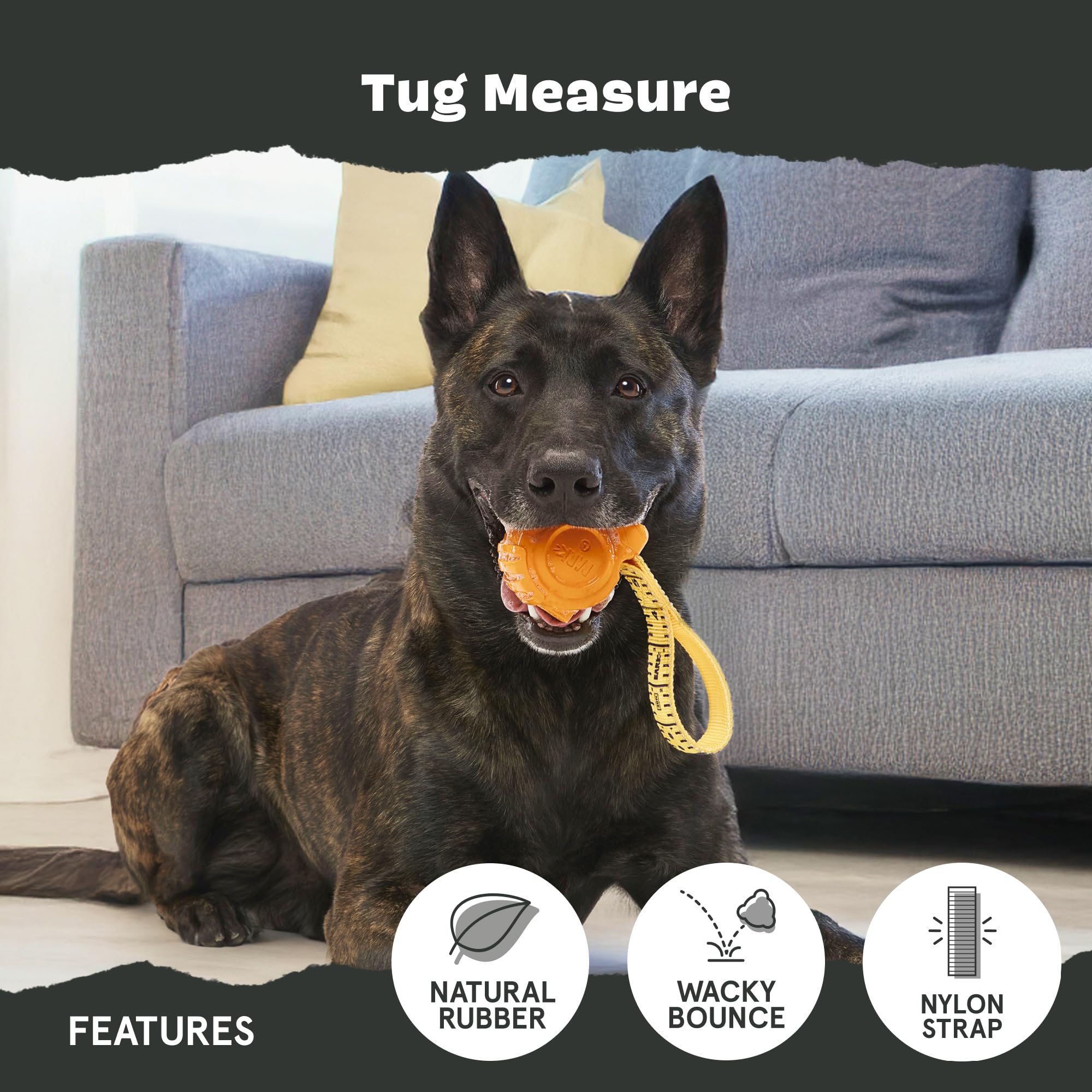 Barkbox Tug Measure Durable Dog Toy, Perfect For Strong Chewers And Interactive Play - Large