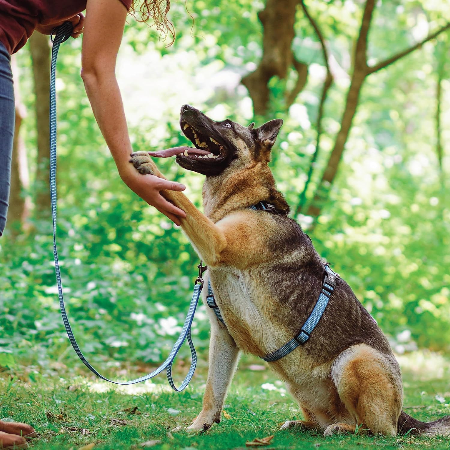 Blue-9 Reflective Buckle-Neck Balance Harness, Fully Customizable Fit No-Pull Harness With 3M Reflective Stitching, Ideal For Dog Training And Obedience, Made In The Usa, Blue, Large