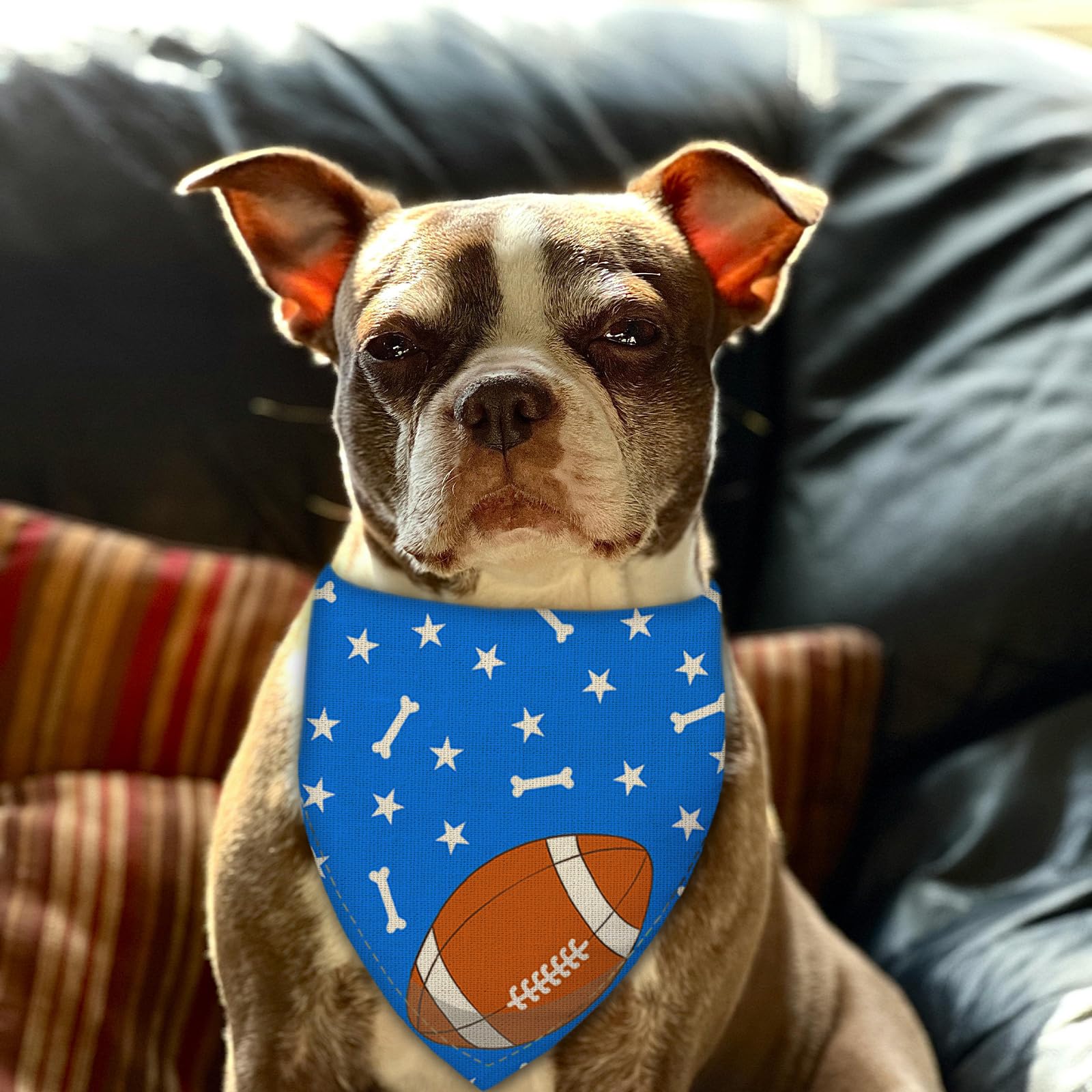Liboom Football Dog Bandana Boy Girl Pets Bibs Scarf Triangle Adjustable Handkerchief,Holiday Bandanas For Medium Large Dogs,Blu