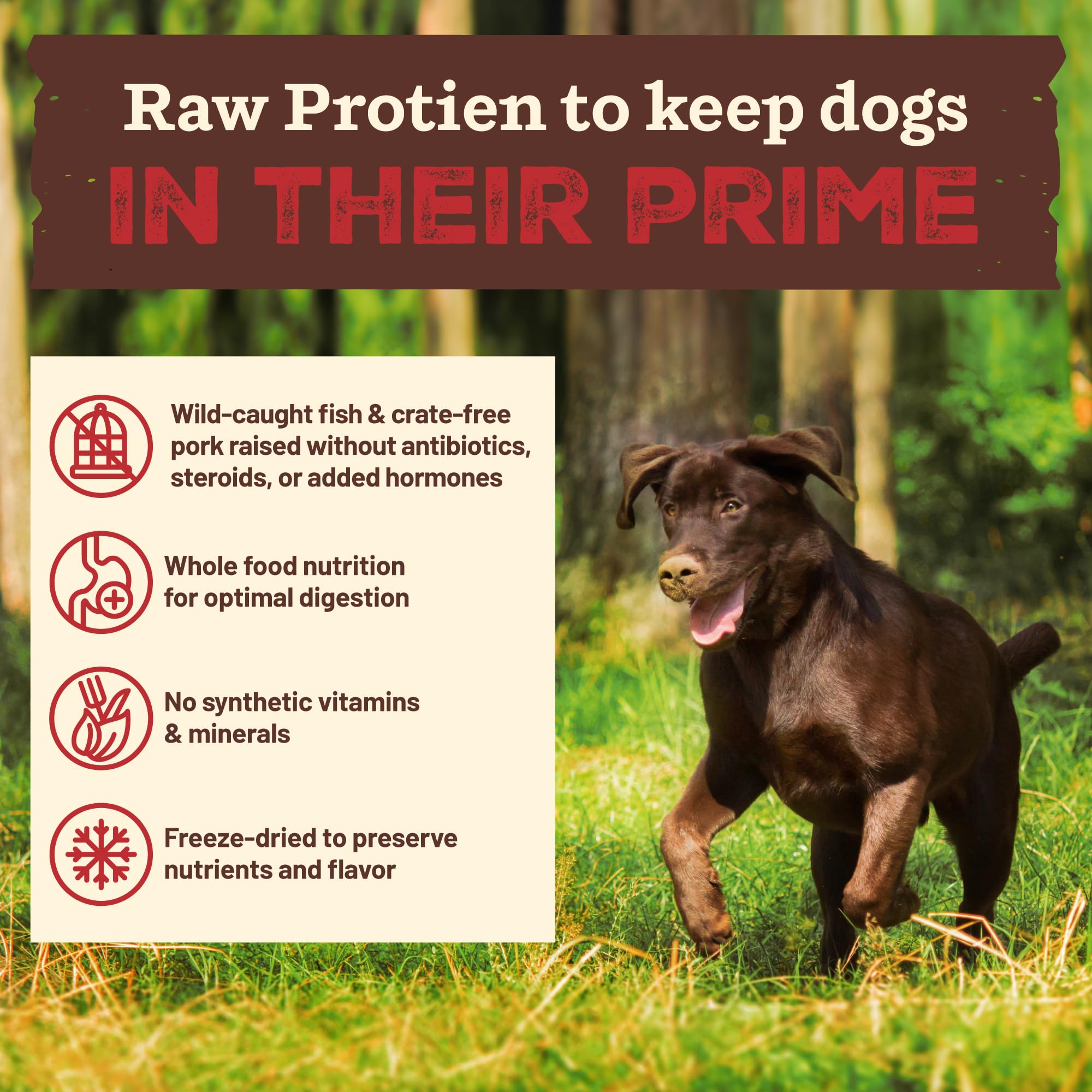 Primal Kibble in The Raw, Freeze Dried Dog Food, Fish & Pork, Scoop & Serve, Made with Raw Protein, Whole Ingredient Nutrition,