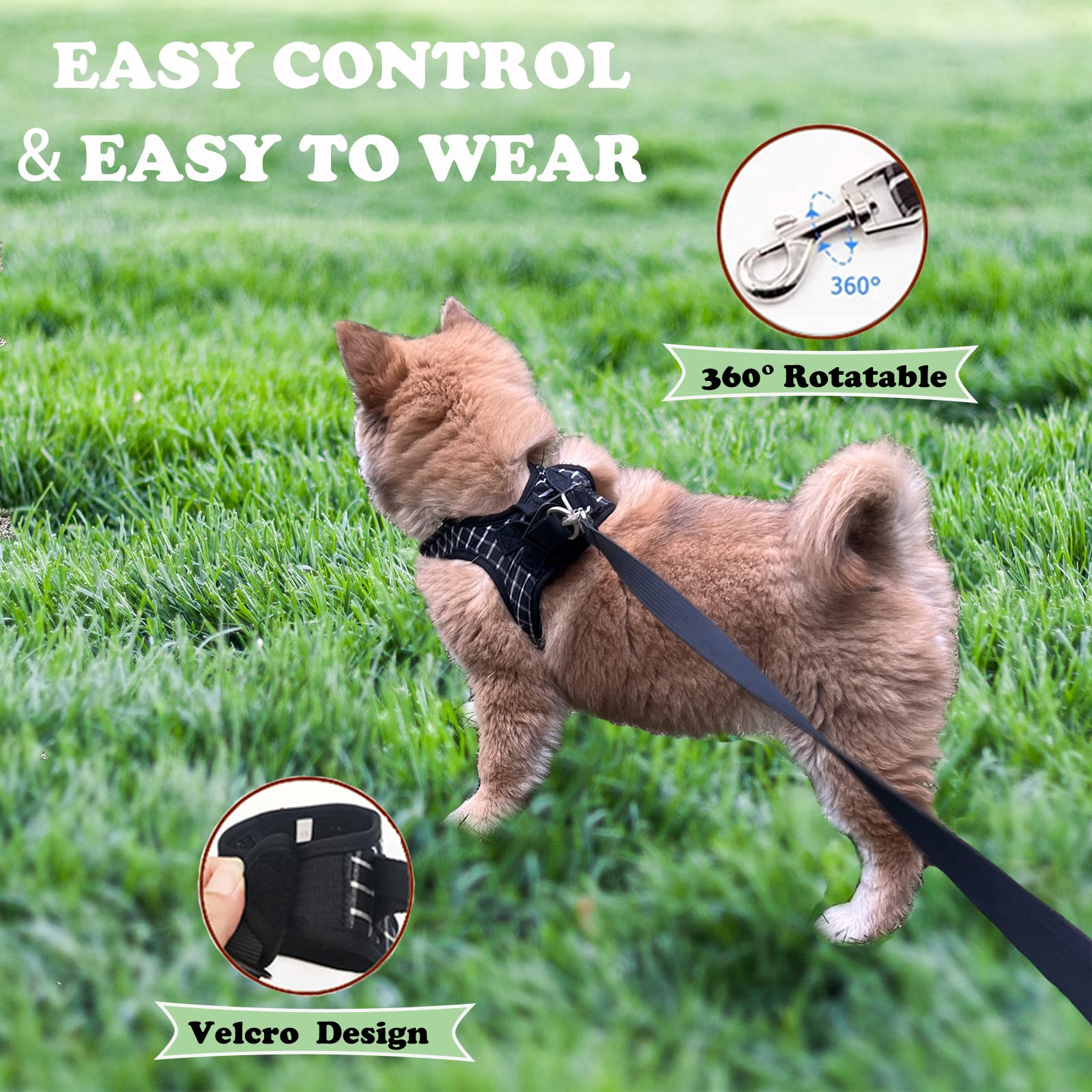 BLUWTE Cat Harness and Leash Set - Escape Proof, Breathable Mesh Vest Harness for Puppy, Cat, Rabbit (Black, L)