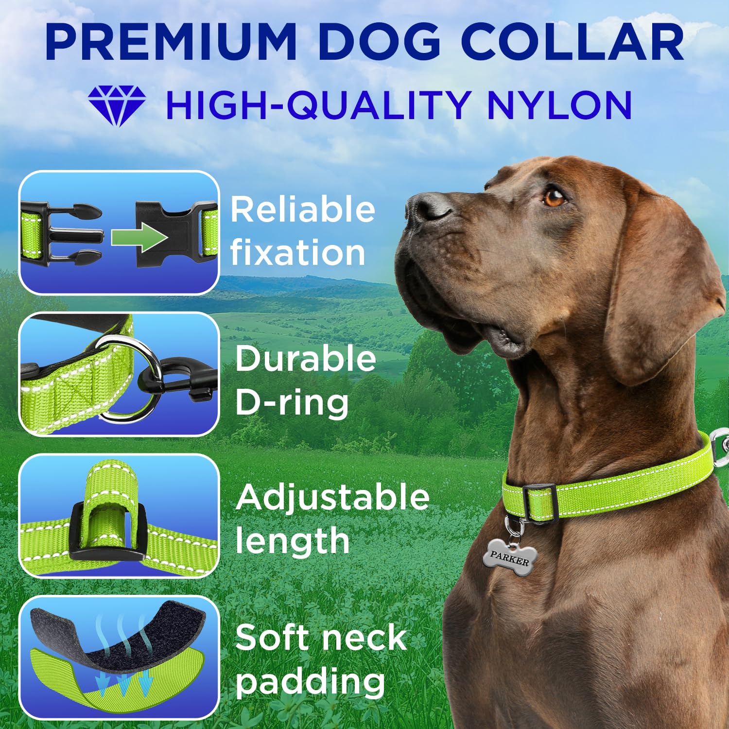 Teceum Reflective Pet Collar - Acid Green - M - Extra Soft Padding - Basic Nylon Dog Collar - Quick Release Buckle - Fits Small,
