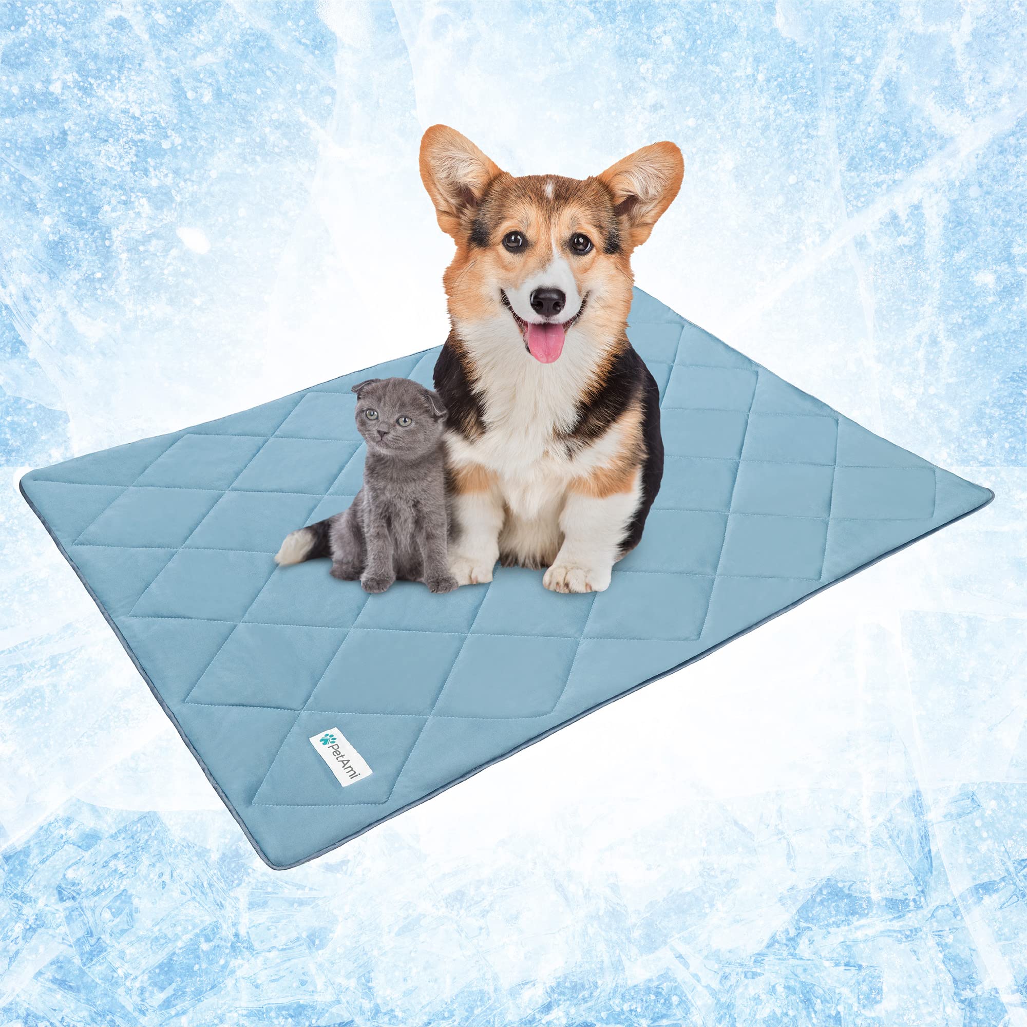 Petami Premium Cooling Dog Blanket | Lightweight Fluffy Pet Throw Blanket Bed Cover For Dogs, Cat, Puppies | Pet Blanket Furniture Protector Couch Sofa | Reversible Fuzzy Cozy | 29X40, Dusty Blue