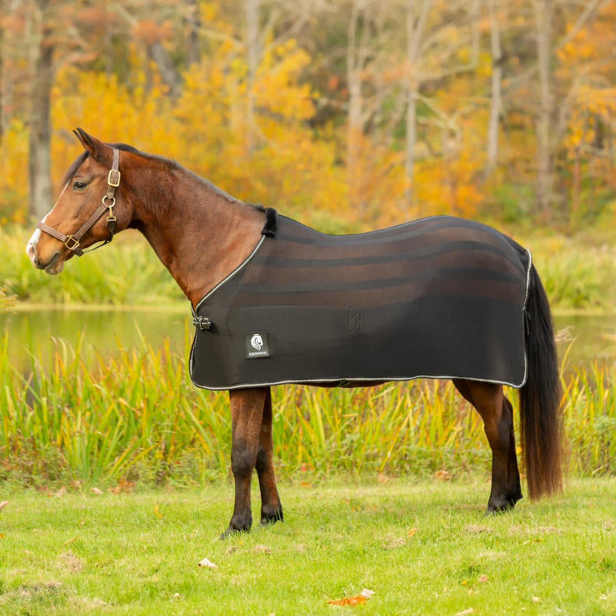 Equinavia Sefyr Breathable Lightweight Cooling Scrim Sheet - Black - M