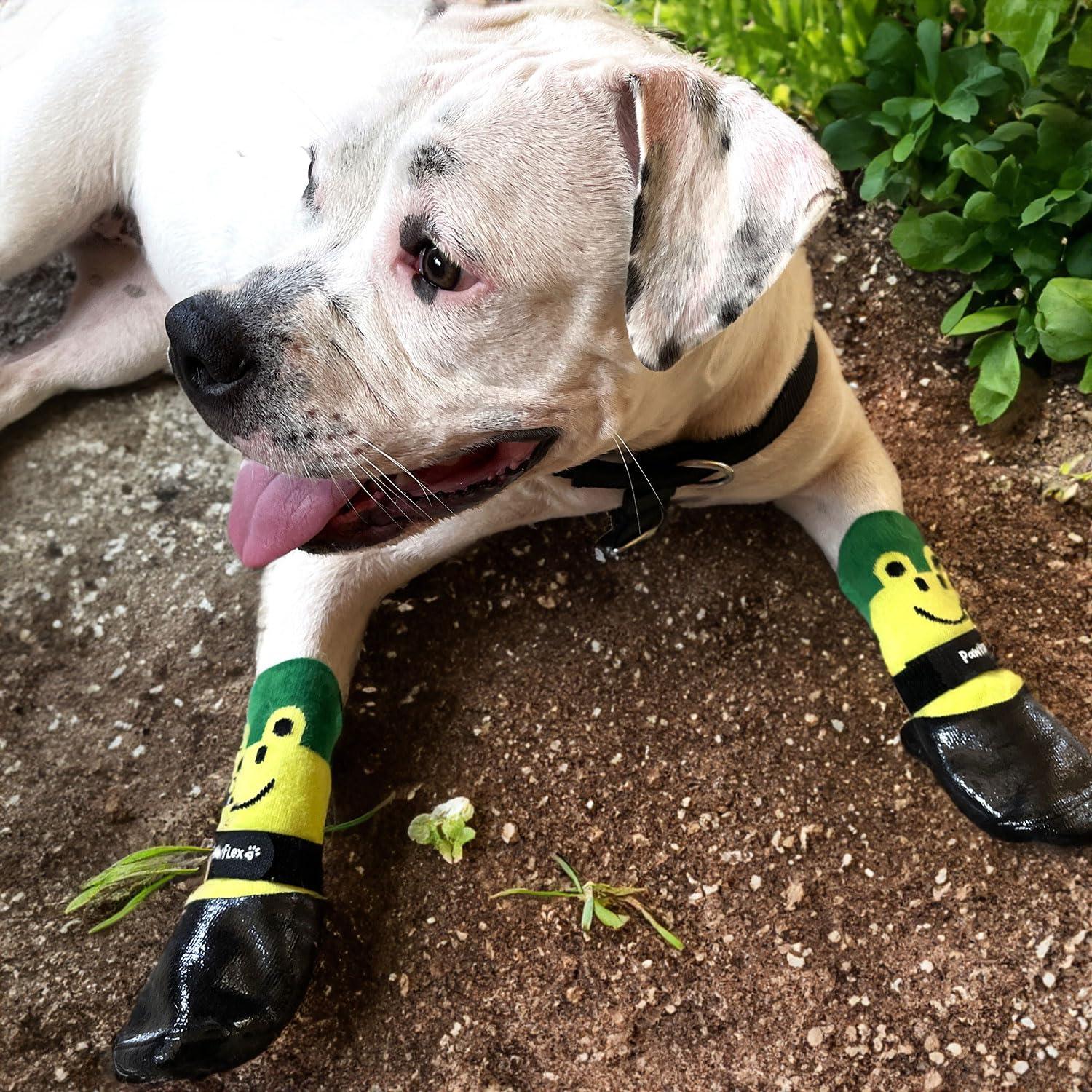 PawFlex Double Dipped Waterproof Dog Socks Comfy Pawz Soft Indoor/Outdoor Dog Booties with Rubberized Bottom| Non-Slip Silicone